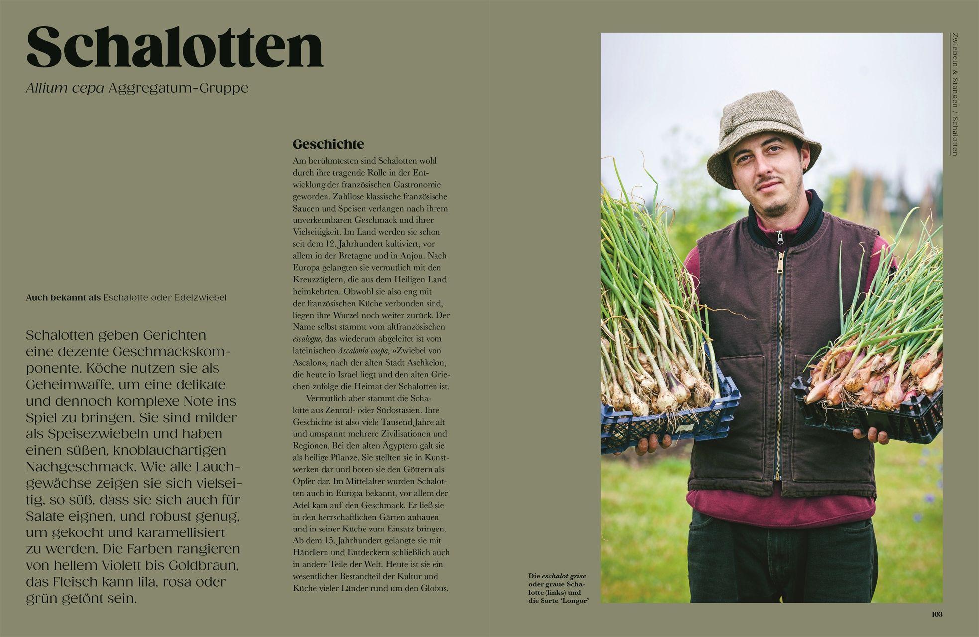 Beispielinhalt (Bild) Auf der Jagd nach alten Sorten