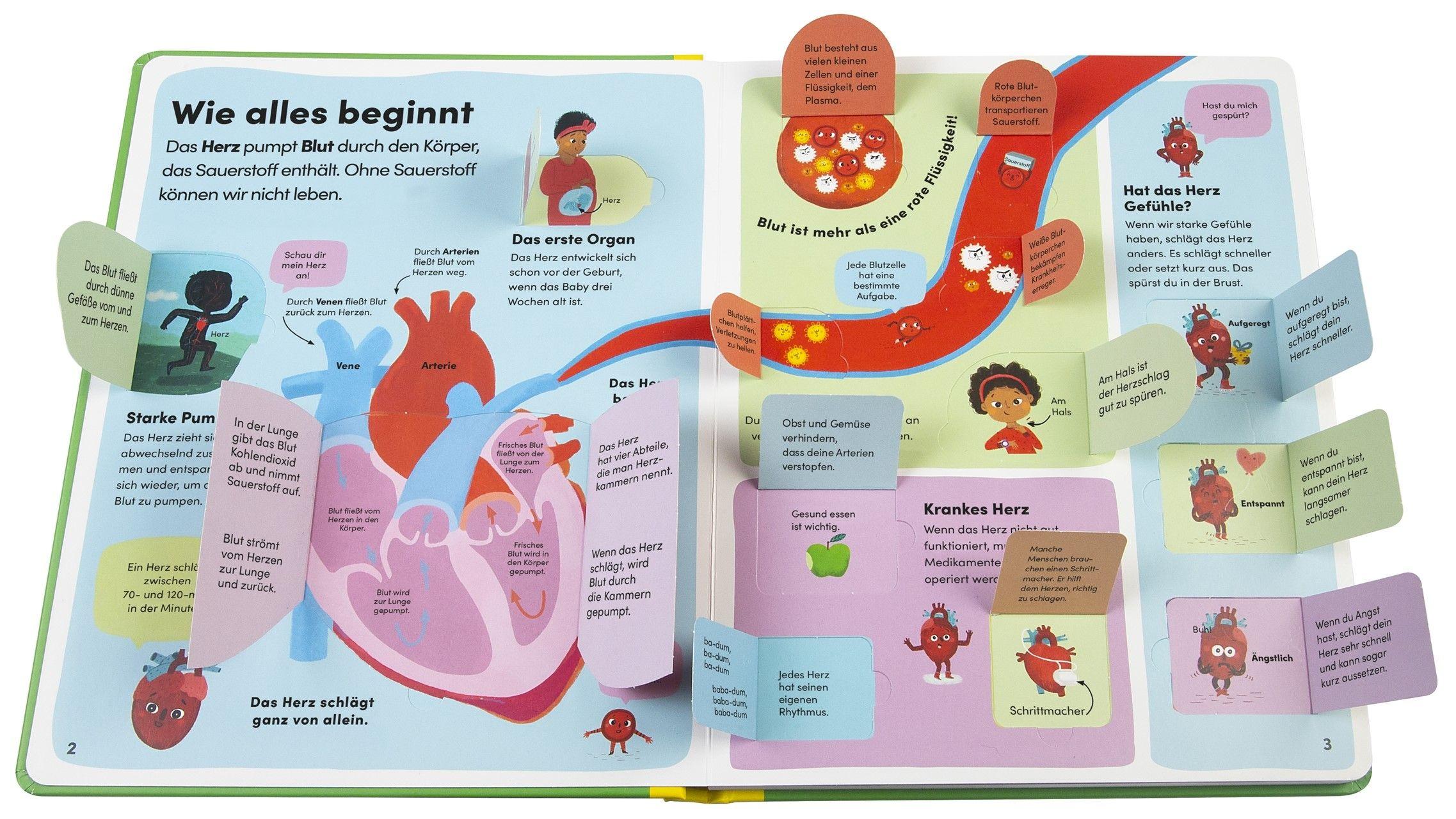 Beispielinhalt (Bild) Mein Körper