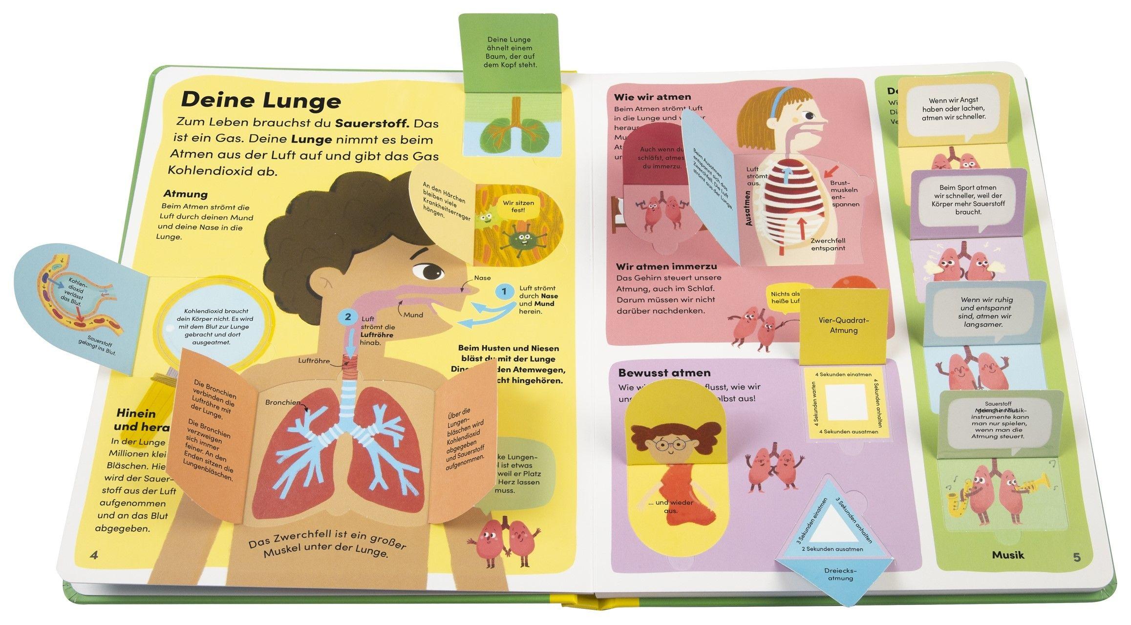 Beispielinhalt (Bild) Mein Körper