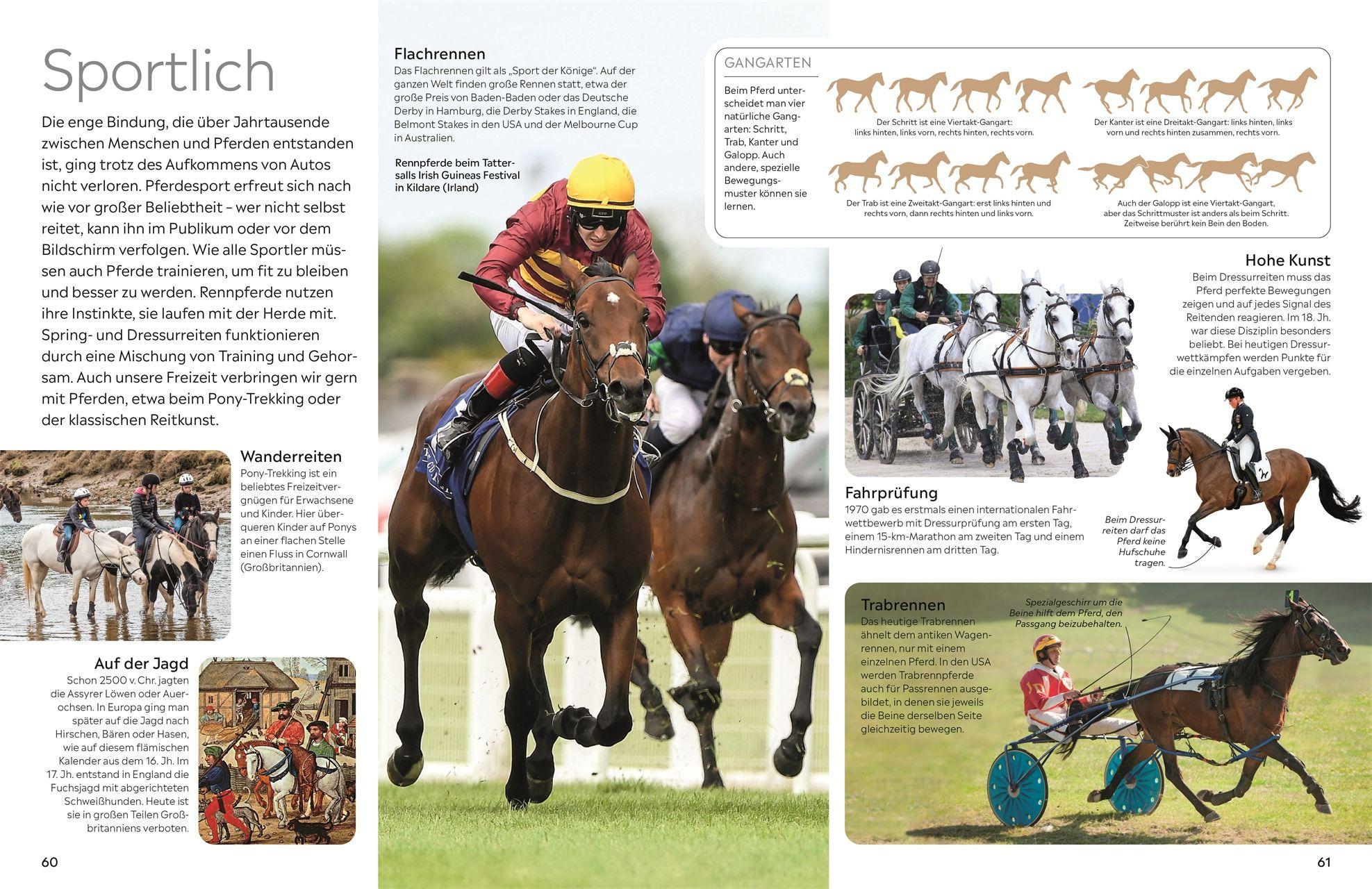 Beispielinhalt (Bild) memo Wissen. Pferde