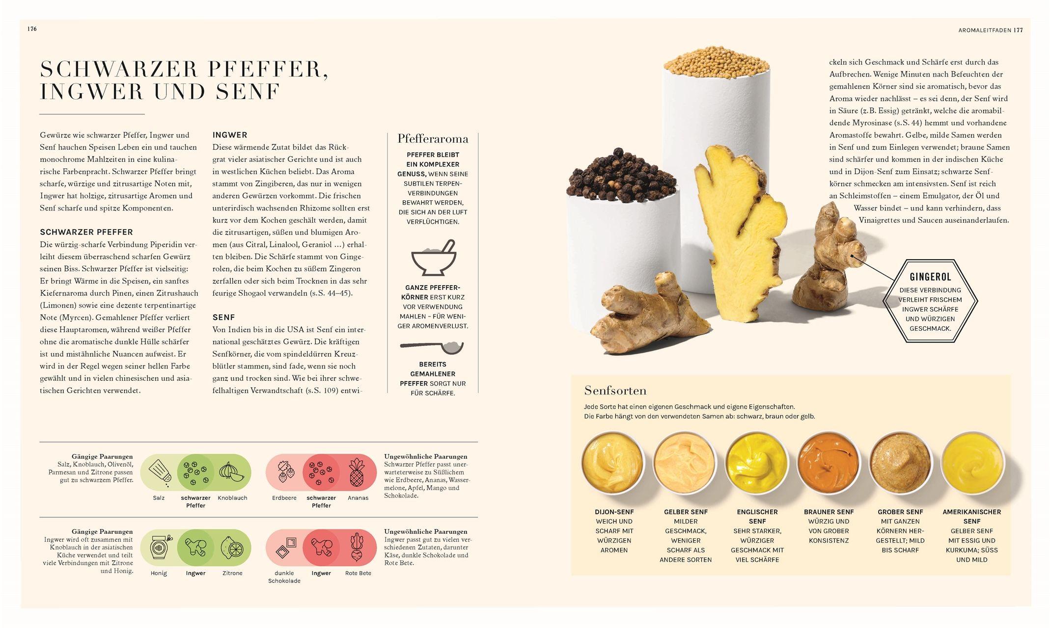 Beispielinhalt (Bild) So funktioniert Geschmack