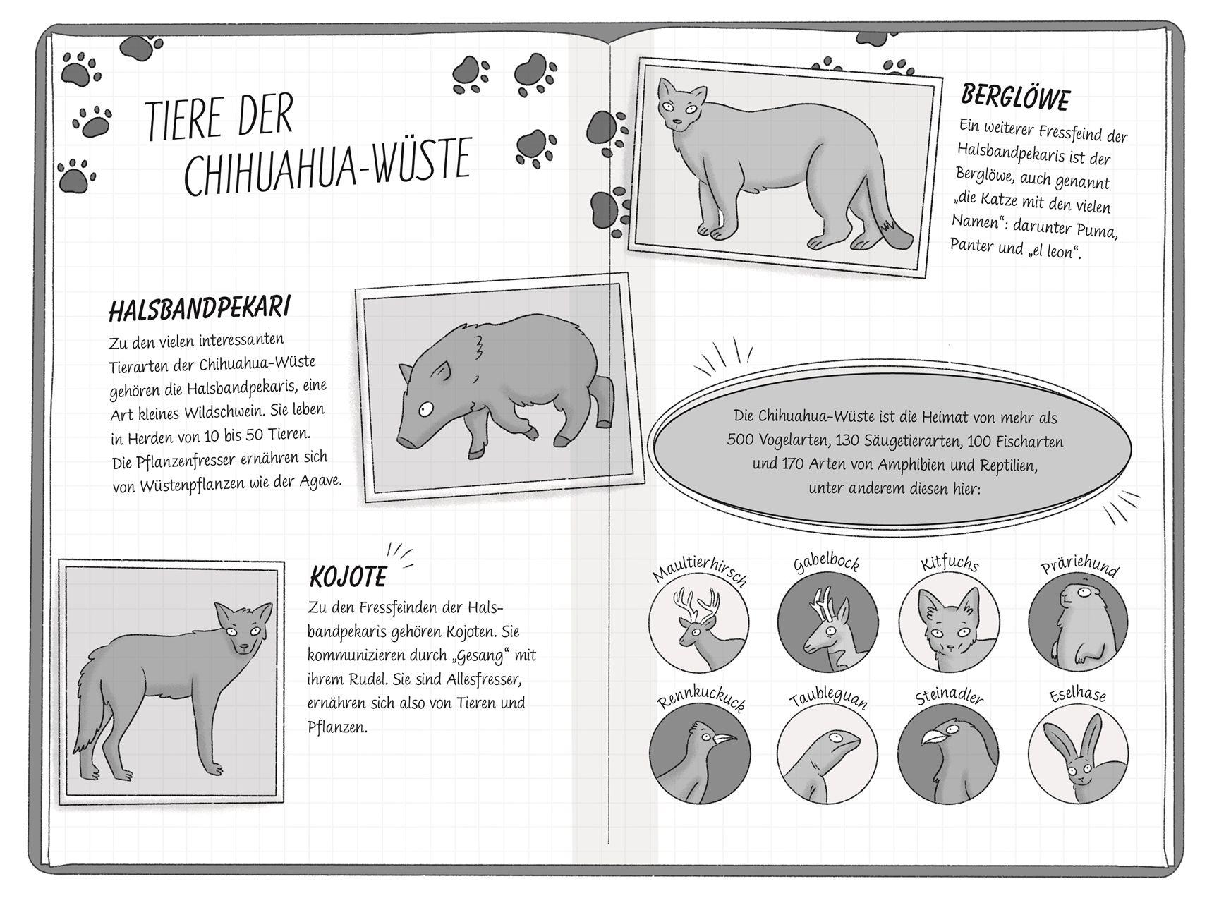 Beispielinhalt (Bild) Ein Fall für die Forscher-Kids 11. Flucht vor dem Sandsturm