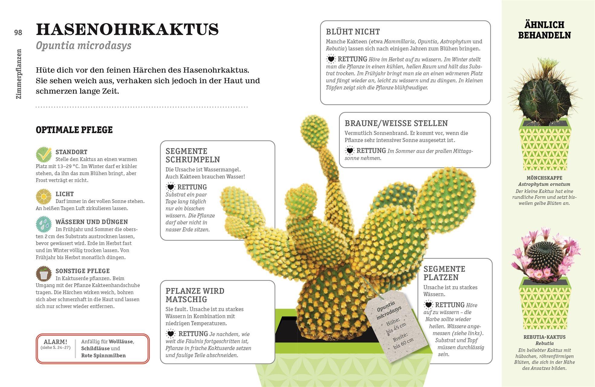 Beispielinhalt (Bild) So überlebt deine Zimmerpflanze garantiert