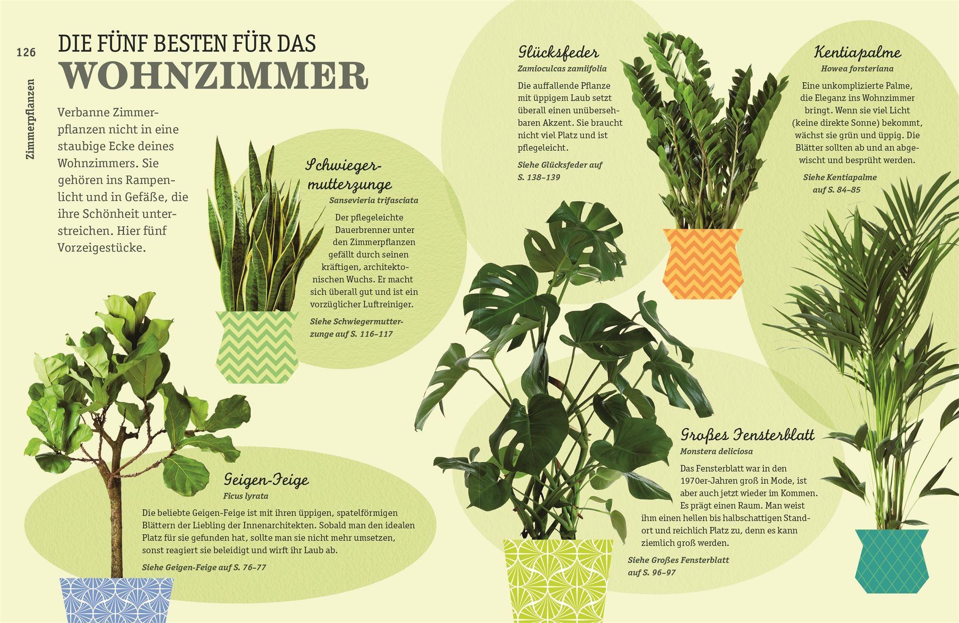 Beispielinhalt (Bild) So überlebt deine Zimmerpflanze garantiert