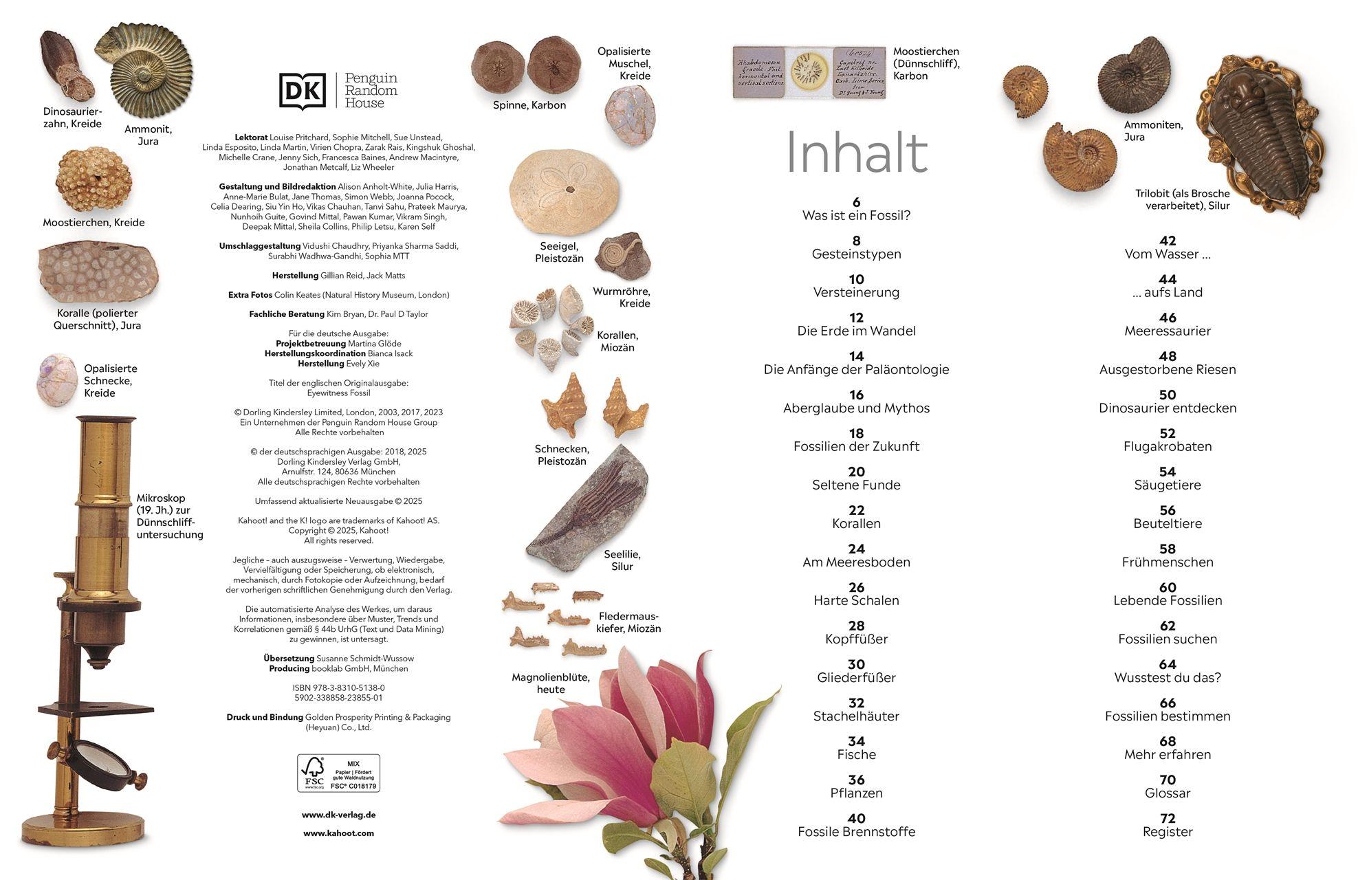 Beispielinhalt (Bild) memo Wissen. Fossilien