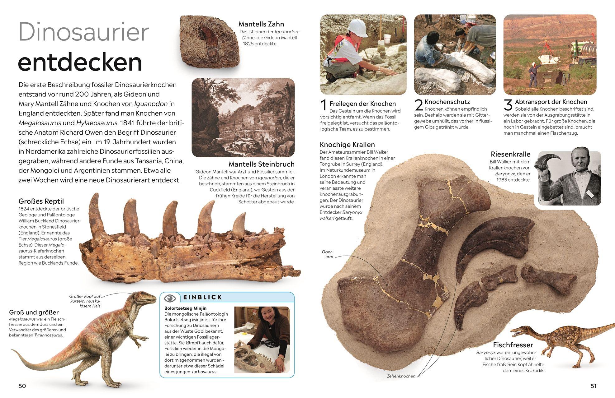 Beispielinhalt (Bild) memo Wissen. Fossilien