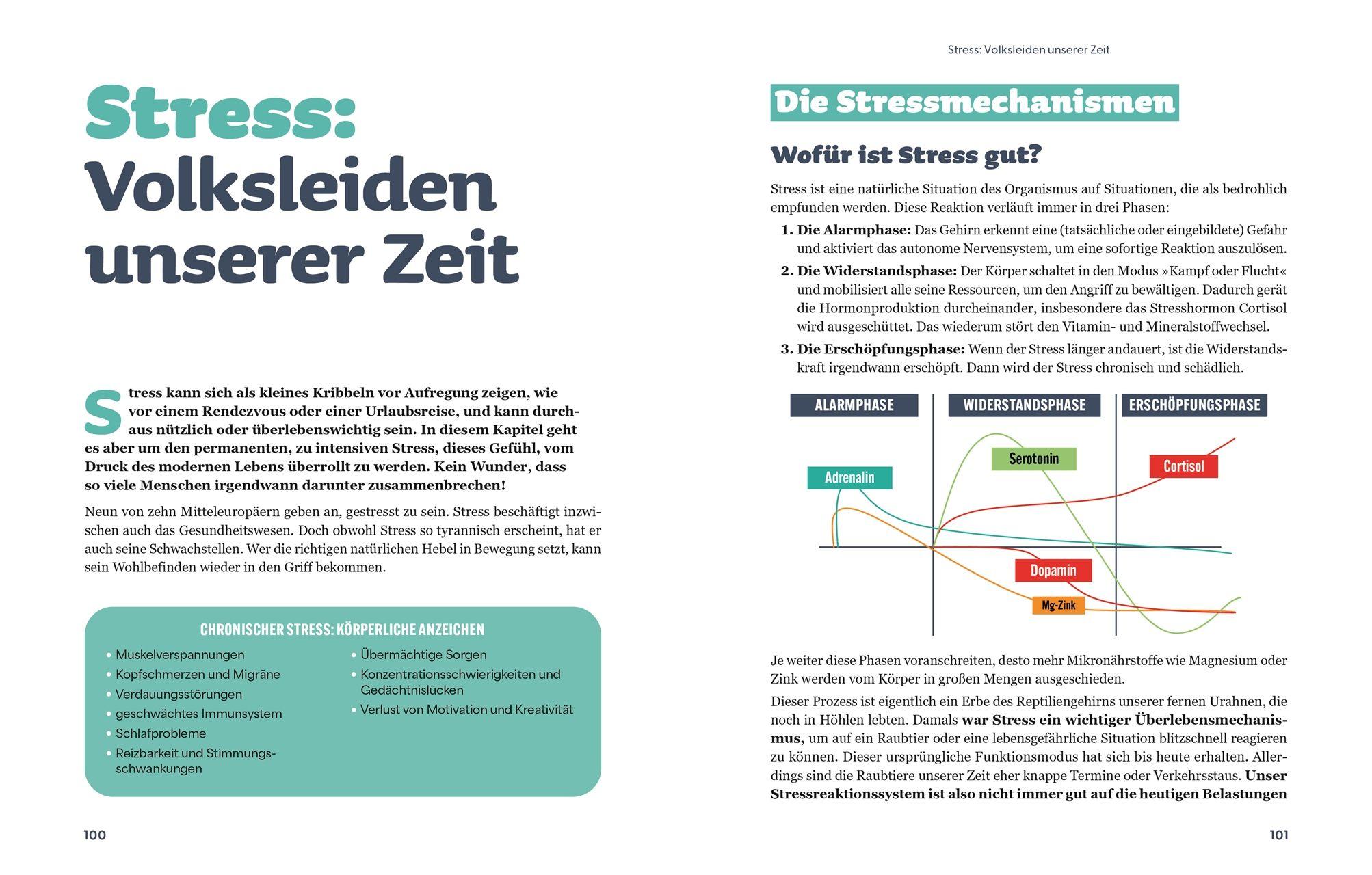 Beispielinhalt (Bild) Die Revolution der Nahrungsergänzung