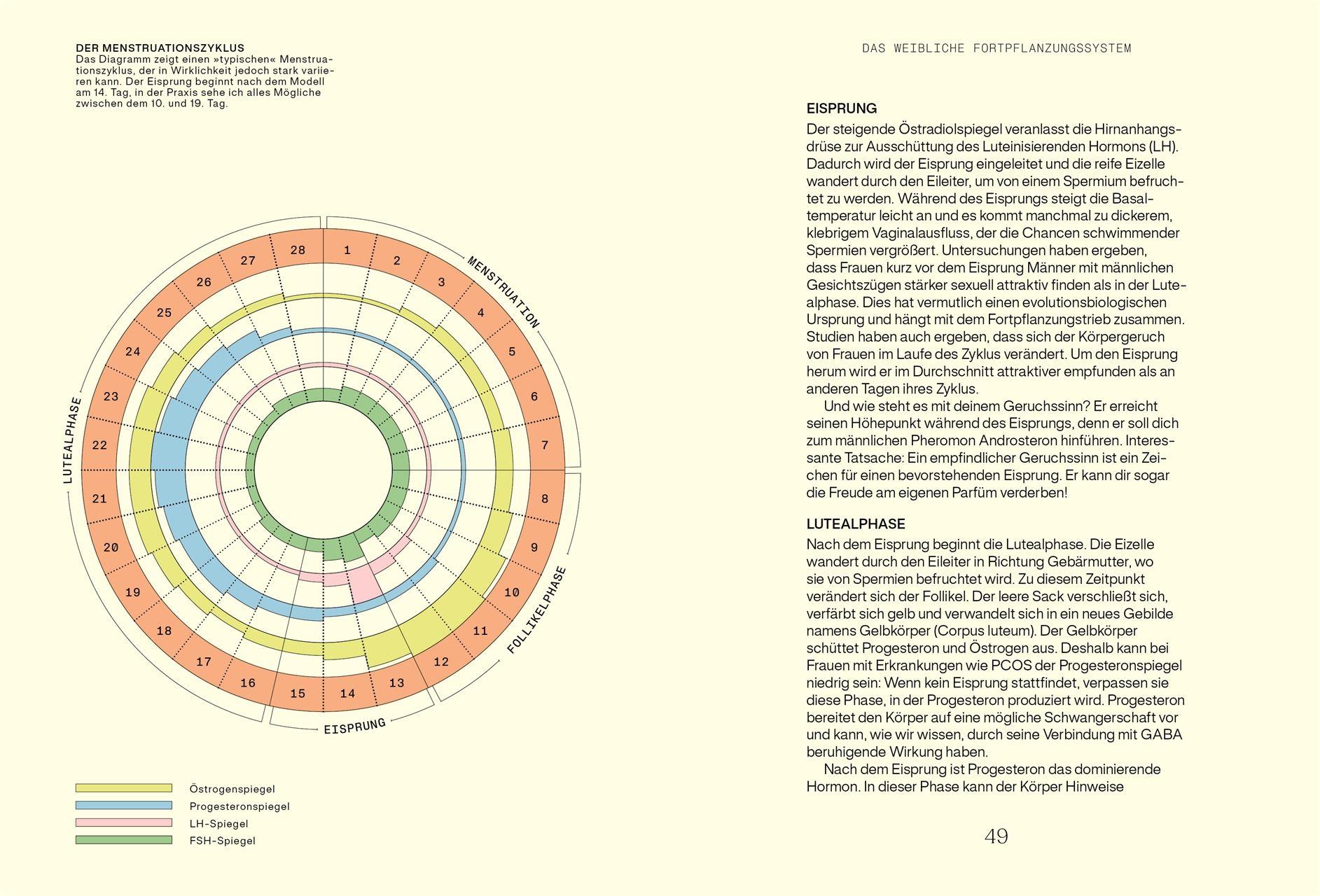 Beispielinhalt (Bild) Alles, was du über Hormone wissen musst