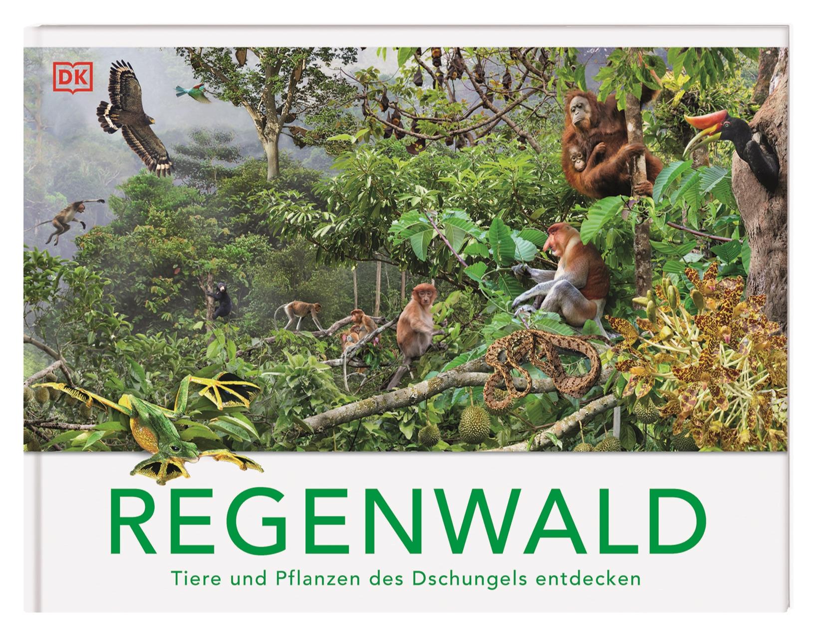 Vorderes Coverbild Regenwald