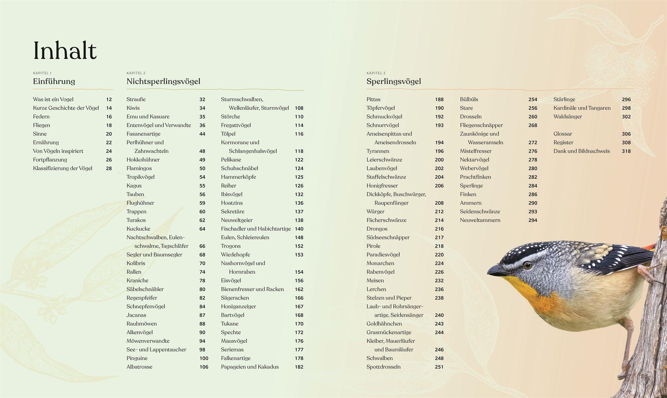 Beispielinhalt (Bild) Vögel - Eine Natur- und Kulturgeschichte