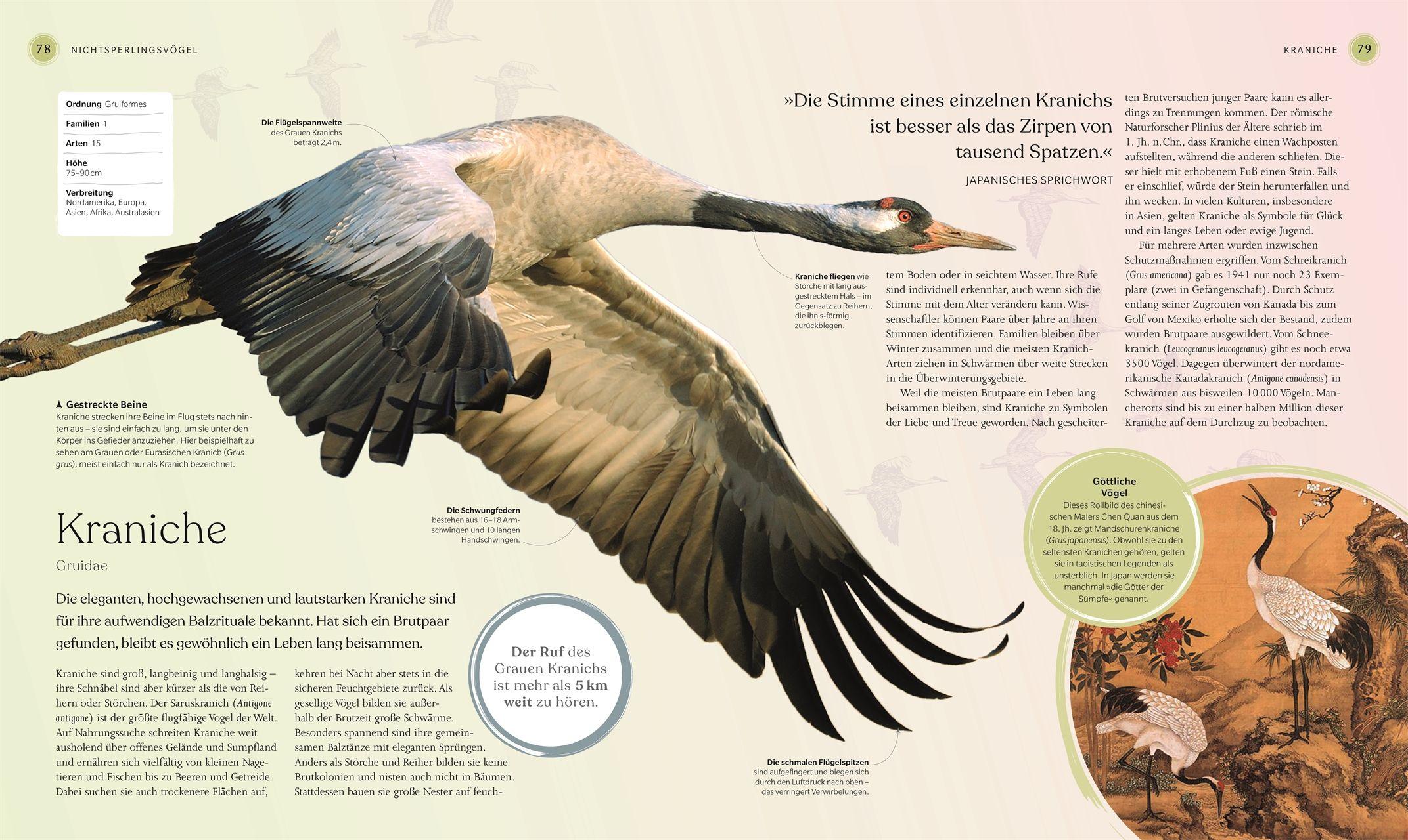 Beispielinhalt (Bild) Vögel - Eine Natur- und Kulturgeschichte