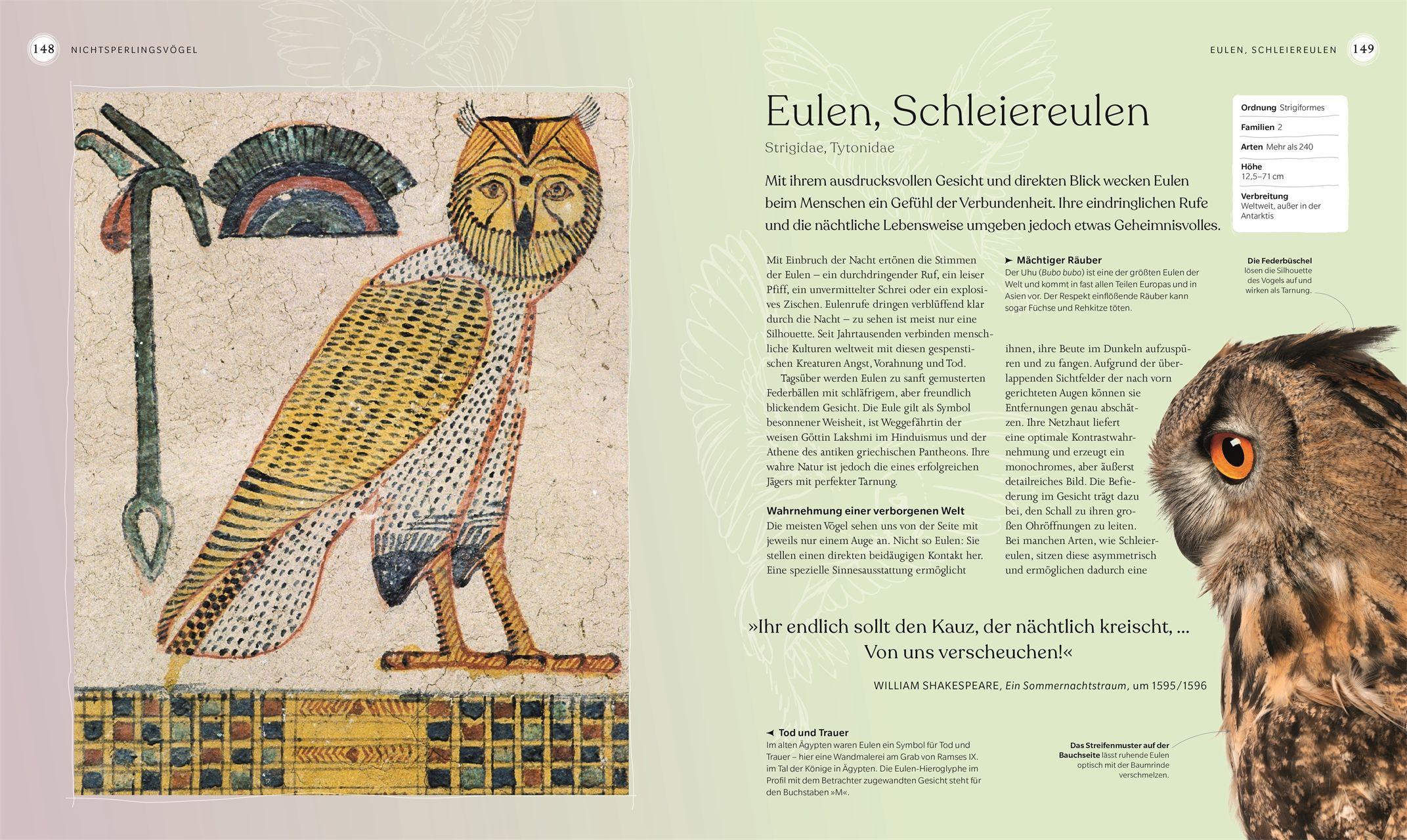 Beispielinhalt (Bild) Vögel - Eine Natur- und Kulturgeschichte