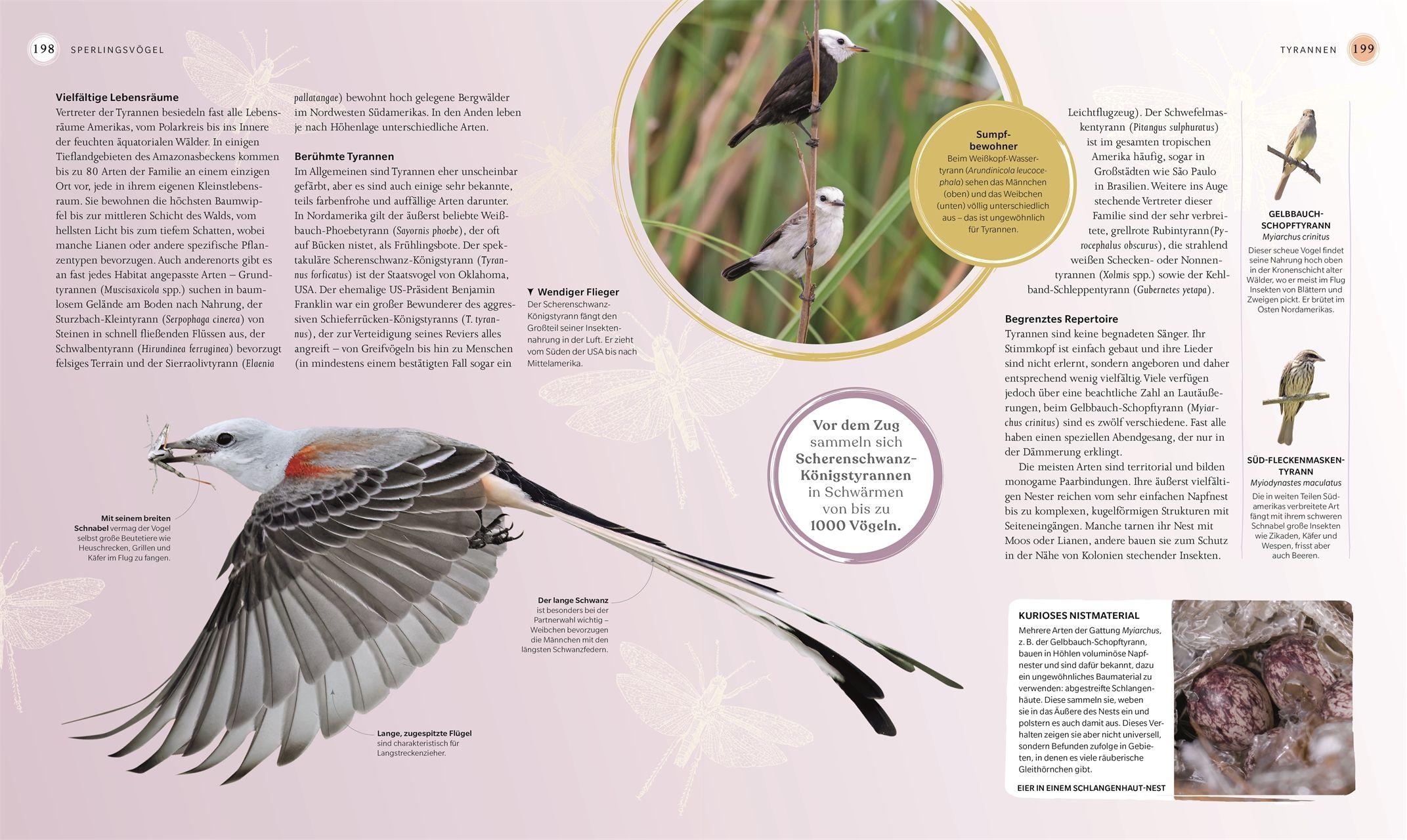 Beispielinhalt (Bild) Vögel - Eine Natur- und Kulturgeschichte