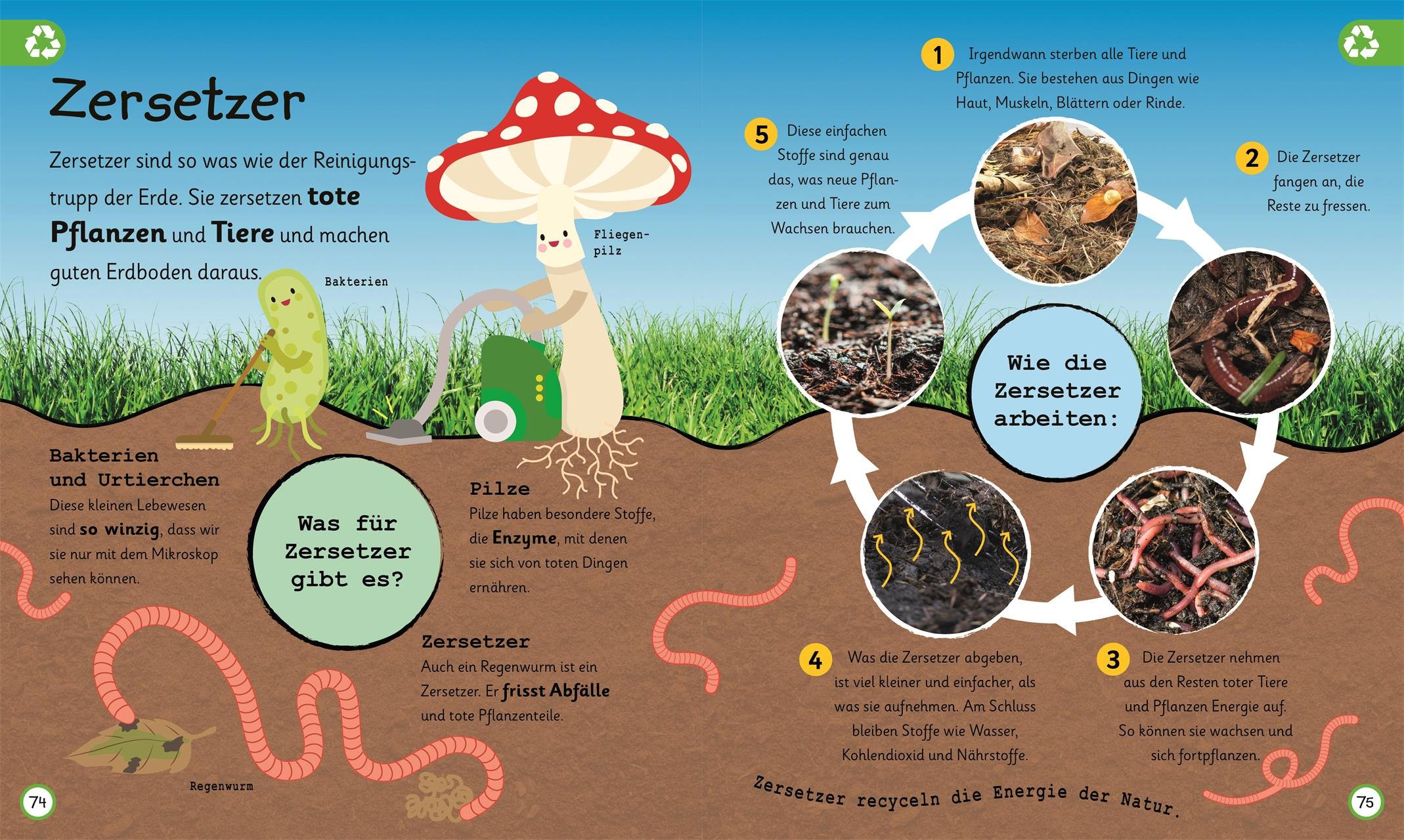 Beispielinhalt (Bild) Wissen für Vorschulkids. Was weißt du über Natur und Technik?