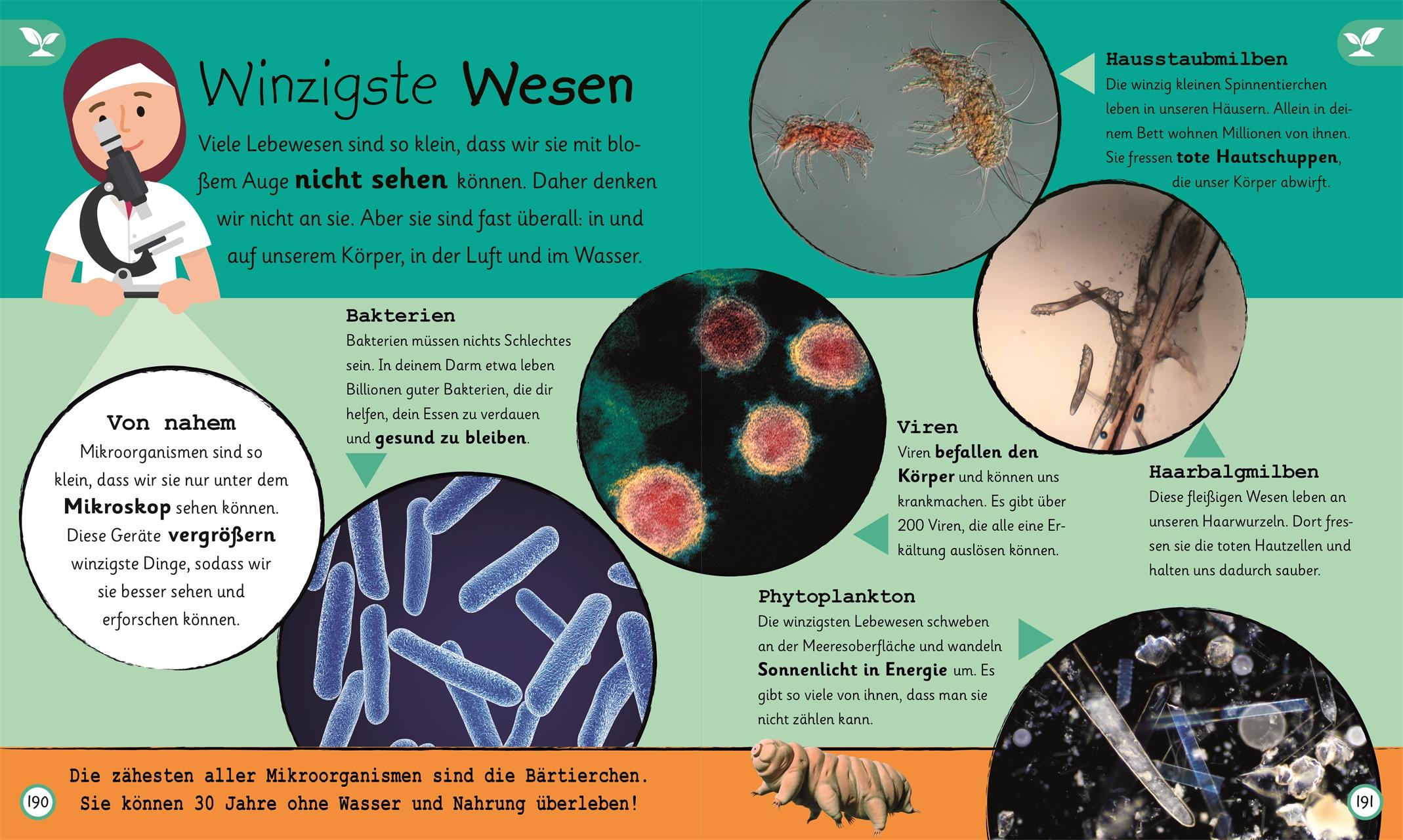 Beispielinhalt (Bild) Wissen für Vorschulkids. Was weißt du über Natur und Technik?