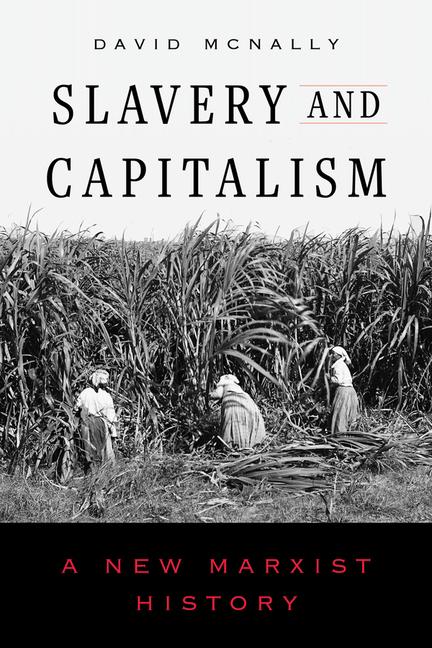 Vorderes Coverbild Slavery and Capitalism