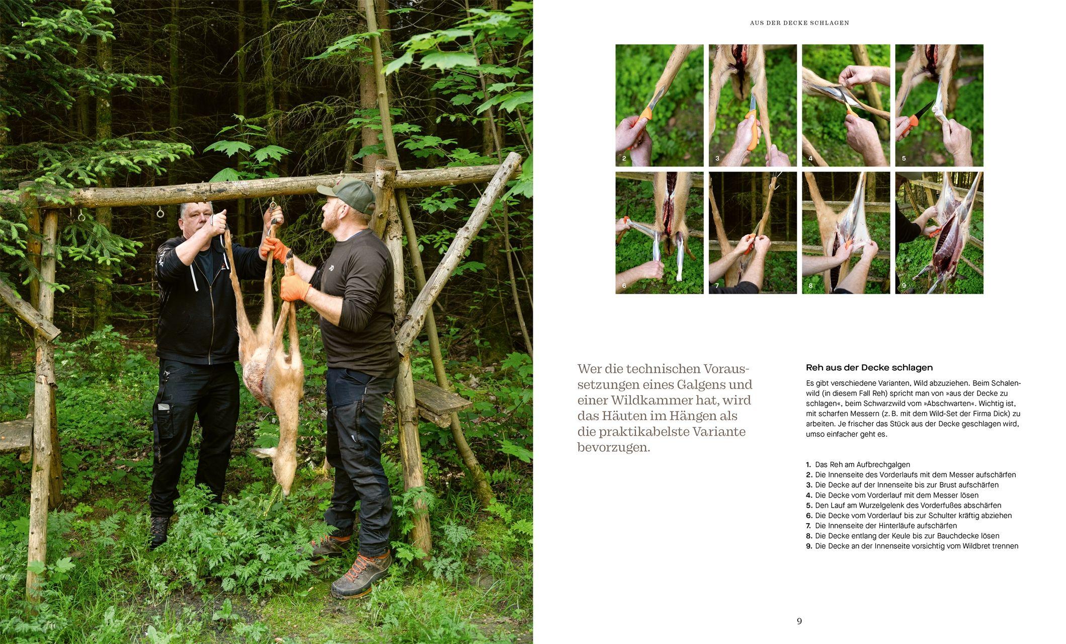 Beispielinhalt (Bild) Wild