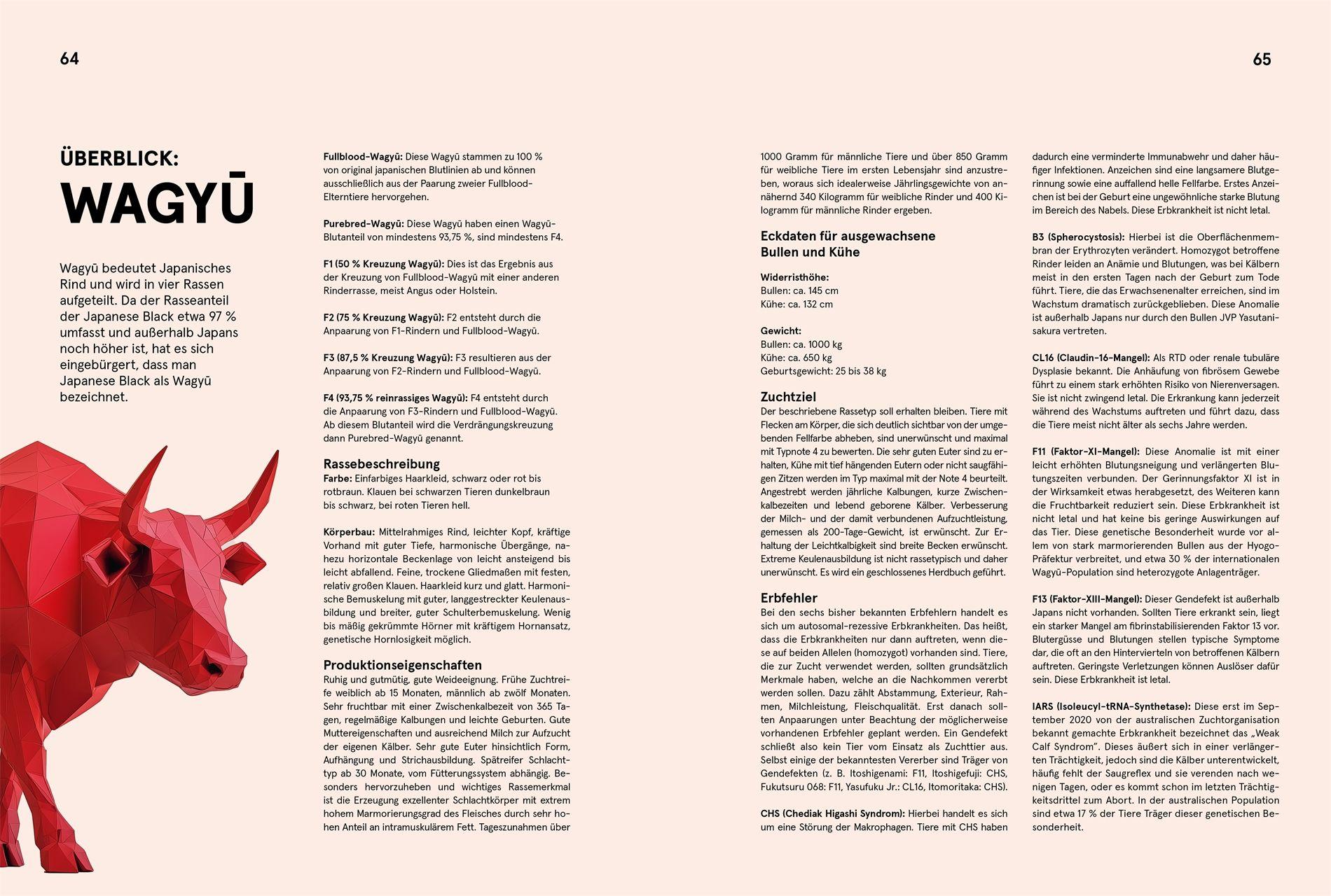 Beispielinhalt (Bild) Wagyu