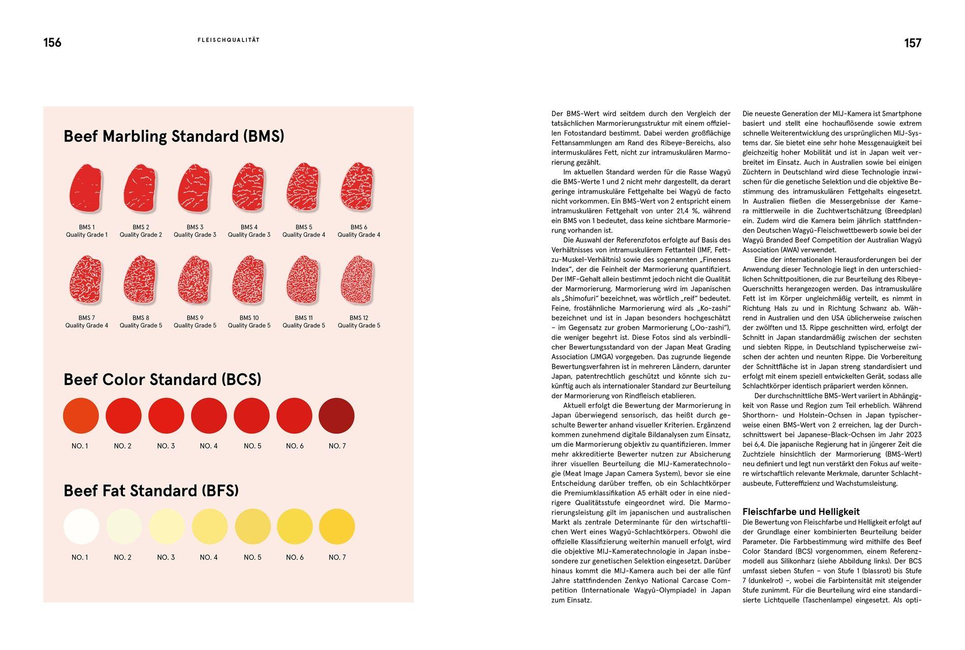 Beispielinhalt (Bild) Wagyu