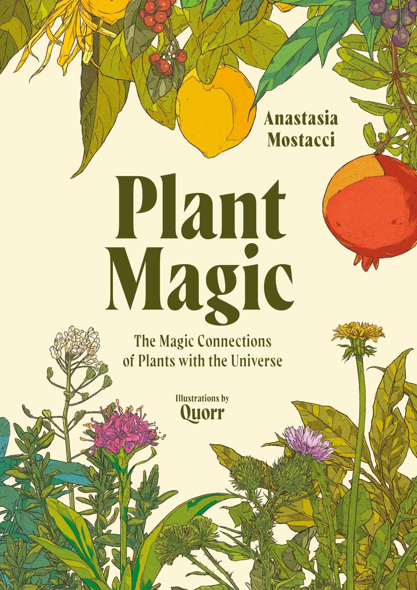 Vorderes Coverbild Plant Magic