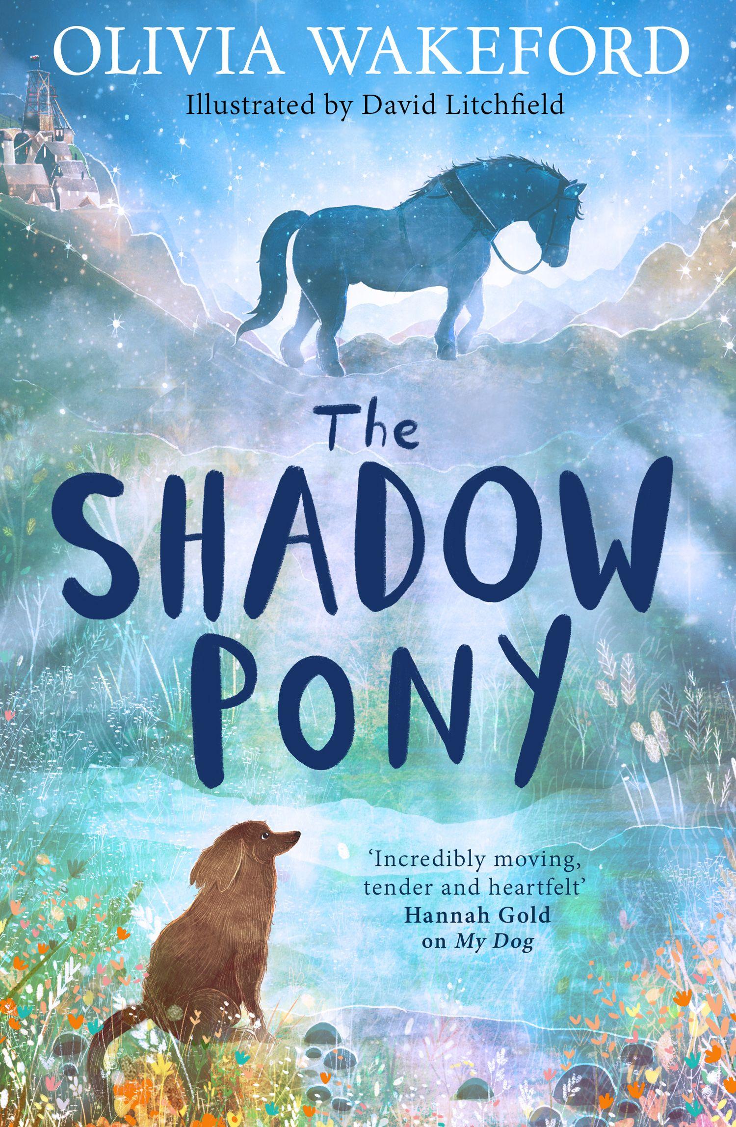 Vorderes Coverbild The Shadow Pony