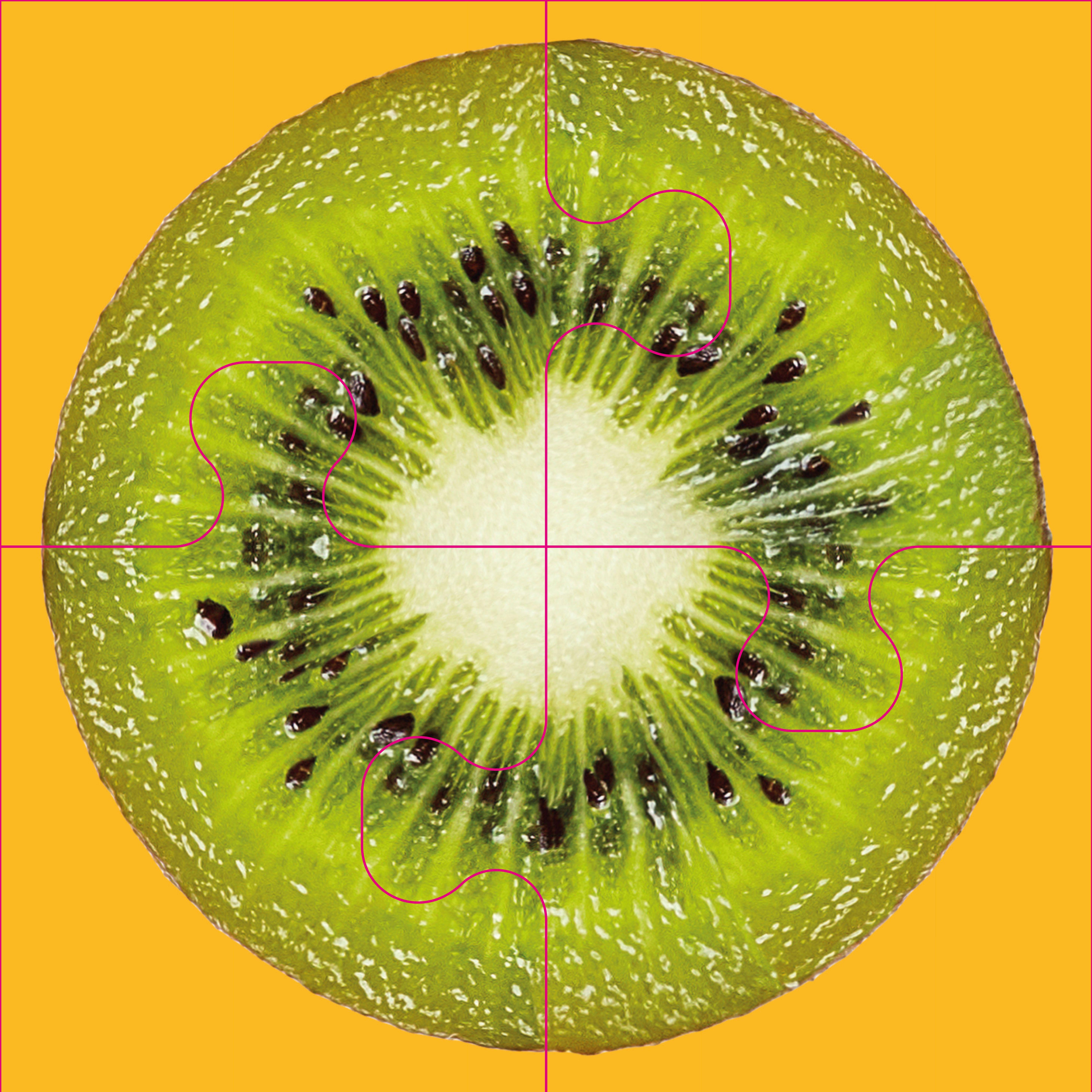 Beispielinhalt (Bild) Das "Gelingt immer"-Puzzle Obst. Das Puzzle-Spiel für Senioren mit Demenz