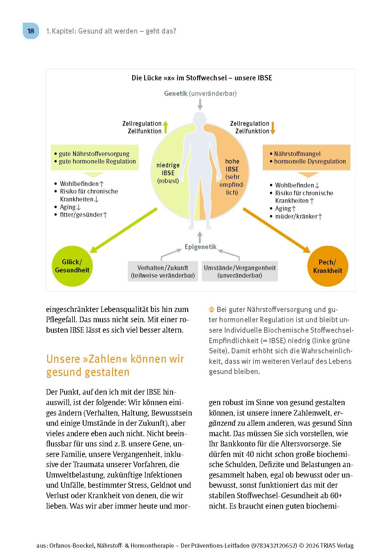 Beispielinhalt (Bild) Nährstoff- & Hormontherapie - Der Präventions-Leitfaden