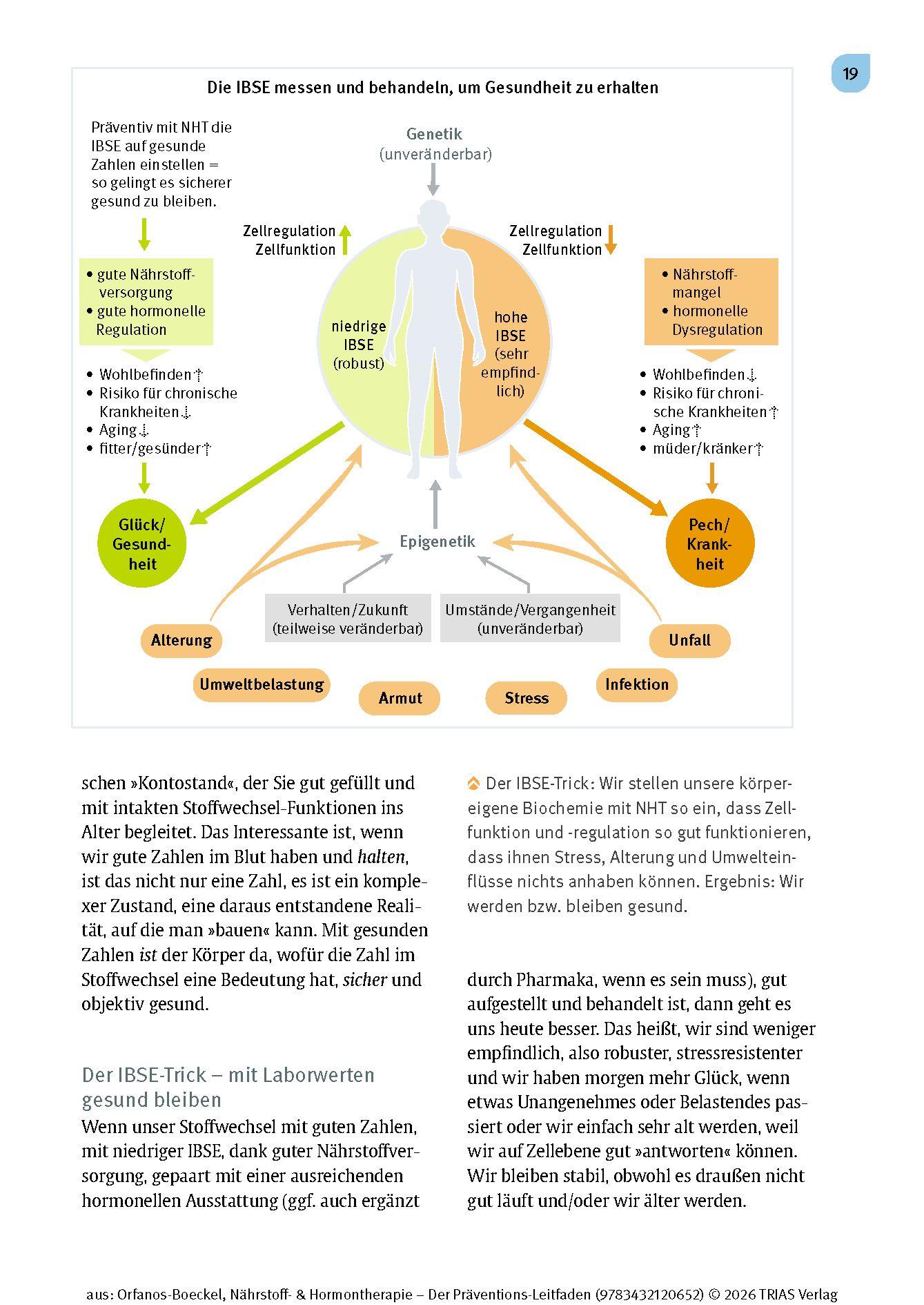 Beispielinhalt (Bild) Nährstoff- & Hormontherapie - Der Präventions-Leitfaden