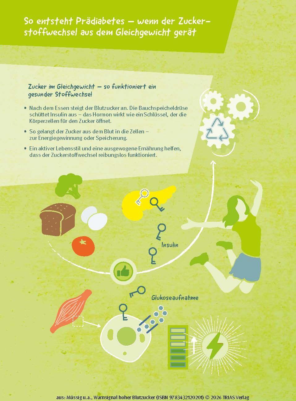 Beispielinhalt (Bild) Warnsignal hoher Blutzucker