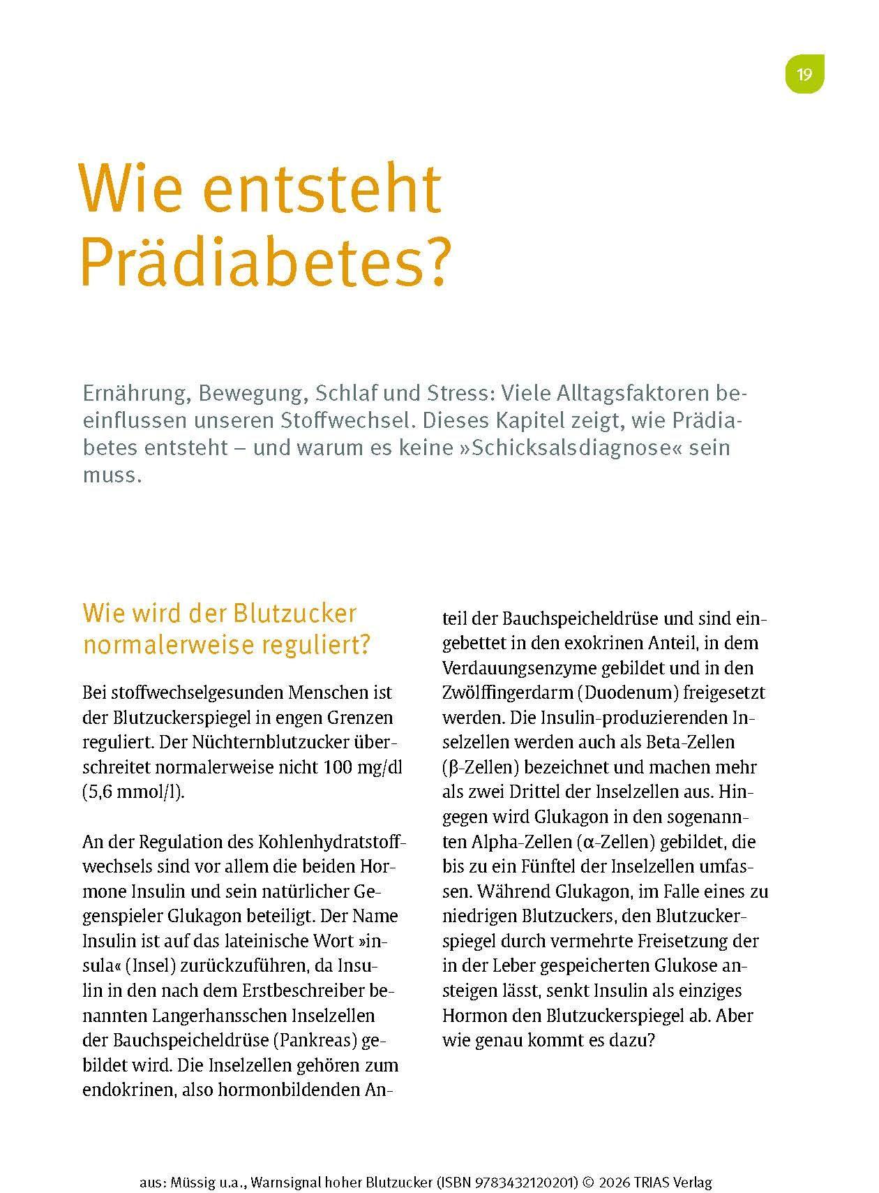 Beispielinhalt (Bild) Warnsignal hoher Blutzucker