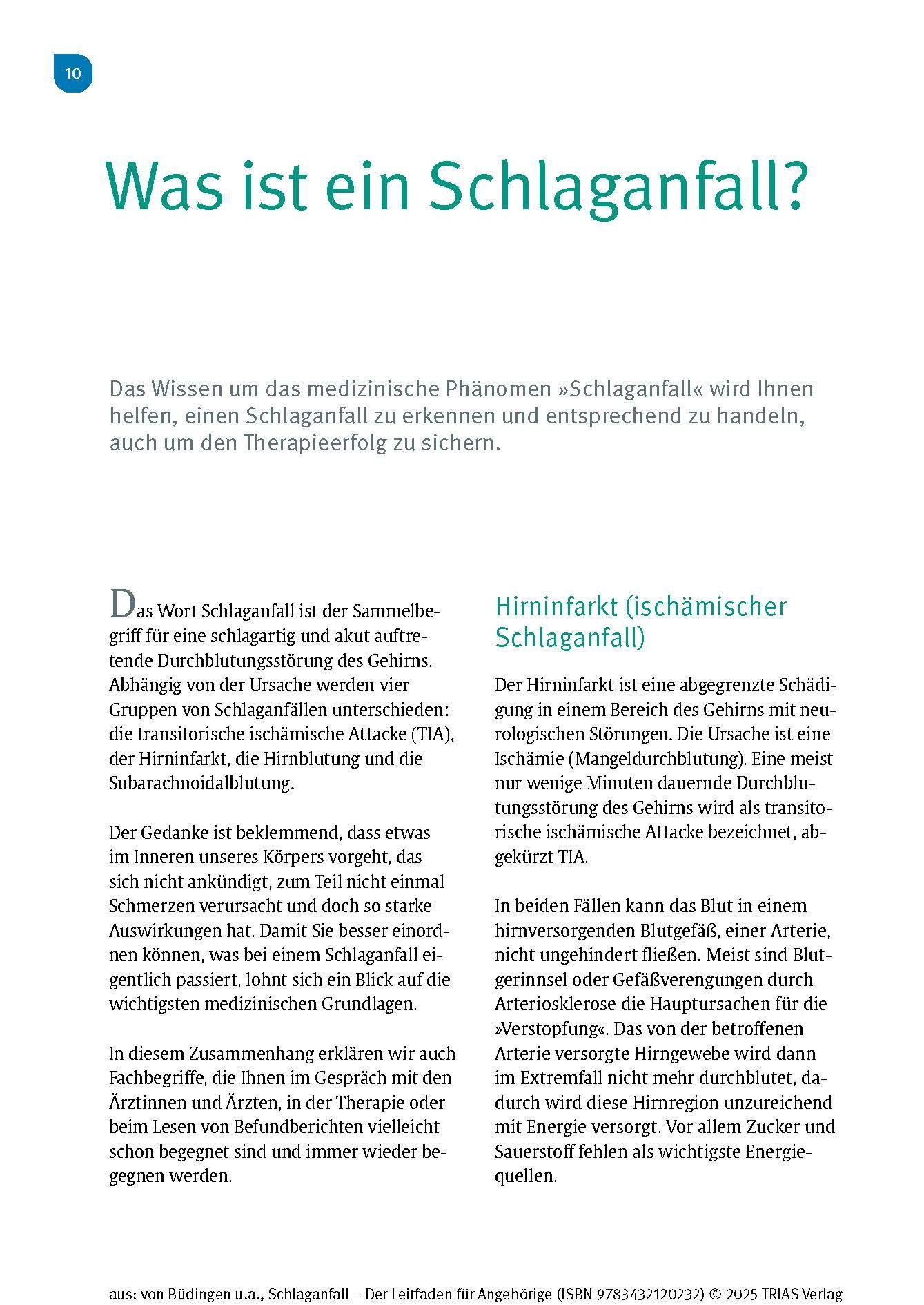 Beispielinhalt (Bild) Schlaganfall - Der Leitfaden für Angehörige