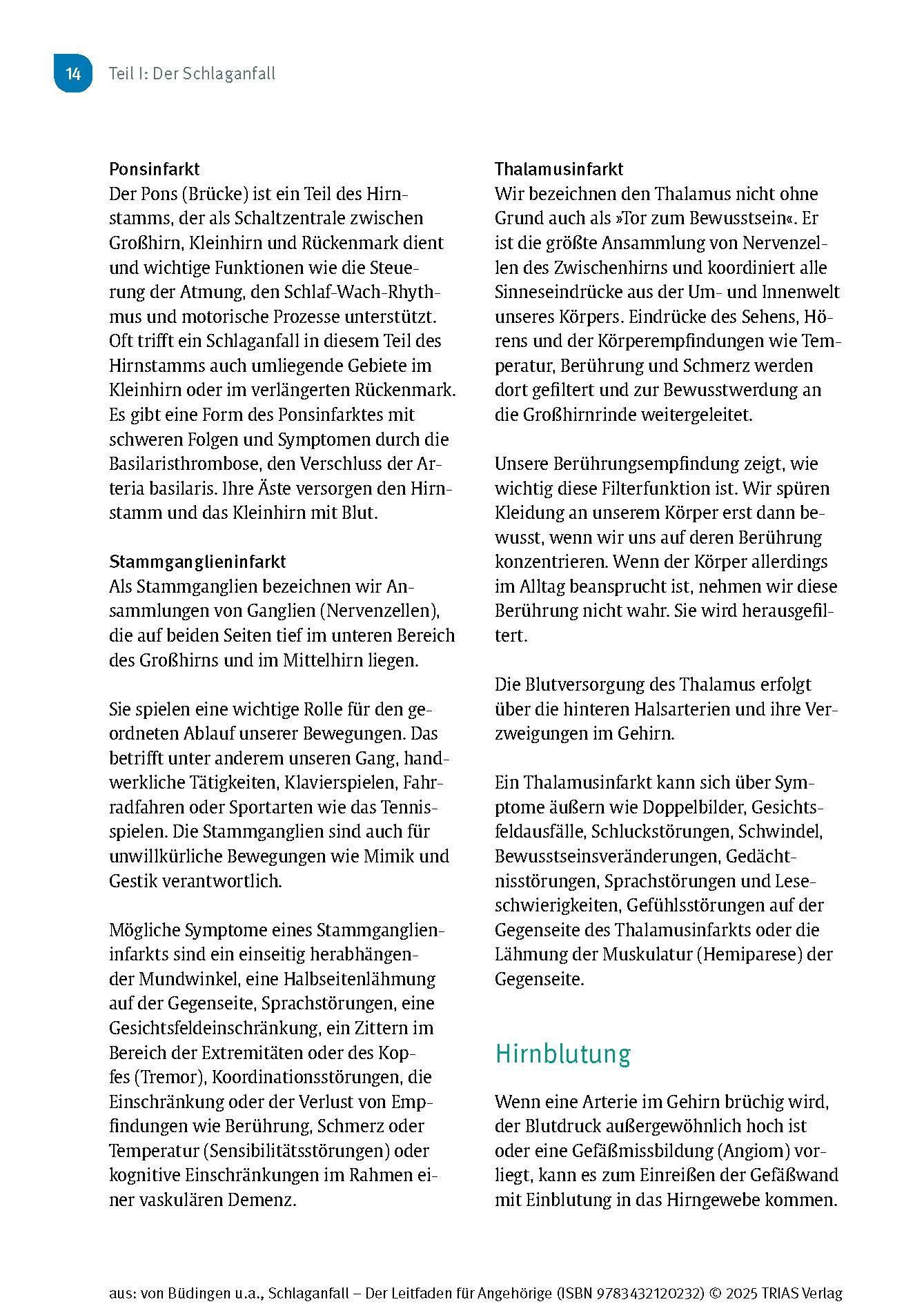 Beispielinhalt (Bild) Schlaganfall - Der Leitfaden für Angehörige