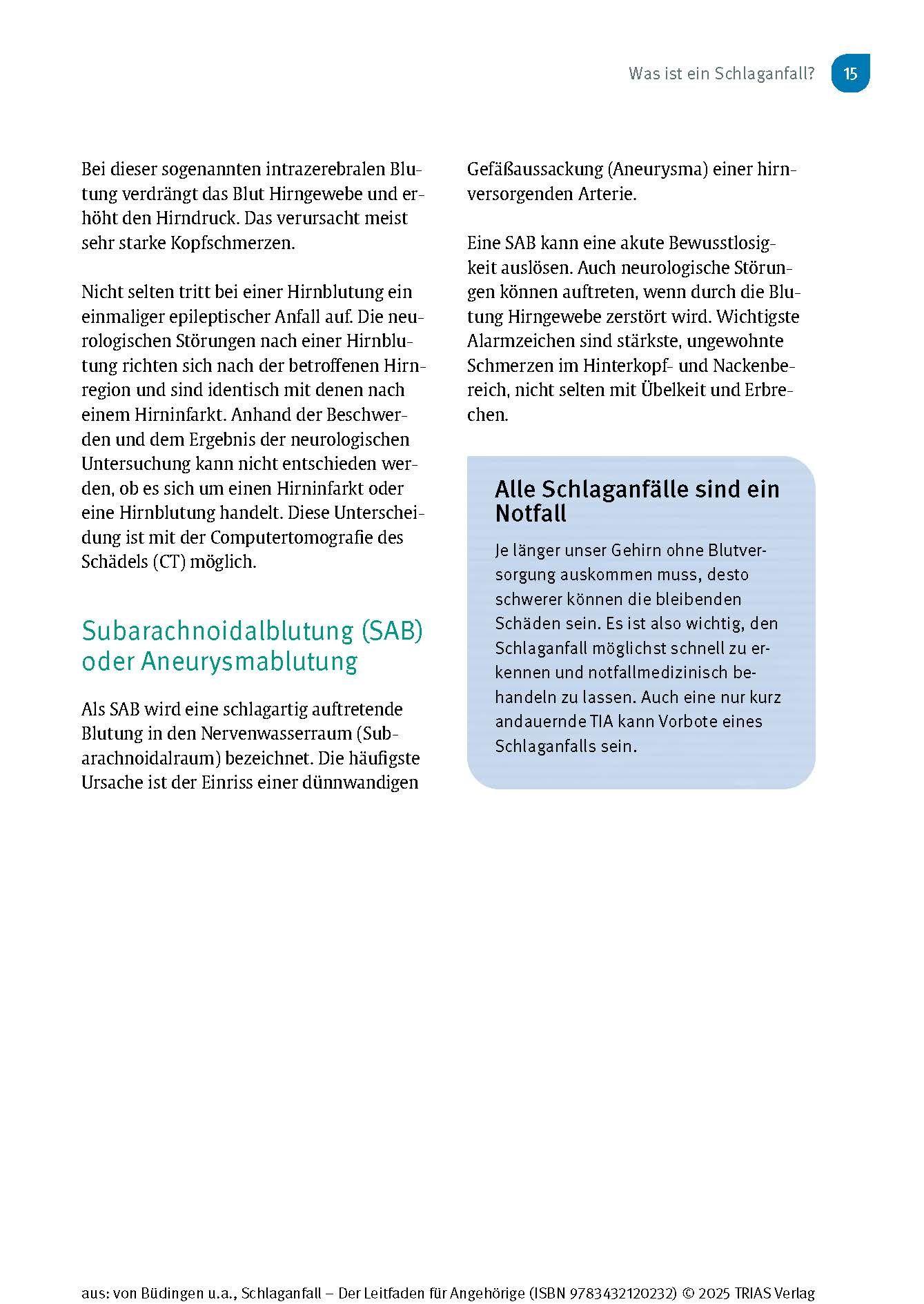 Beispielinhalt (Bild) Schlaganfall - Der Leitfaden für Angehörige
