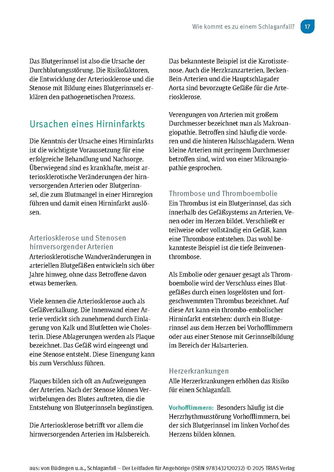 Beispielinhalt (Bild) Schlaganfall - Der Leitfaden für Angehörige