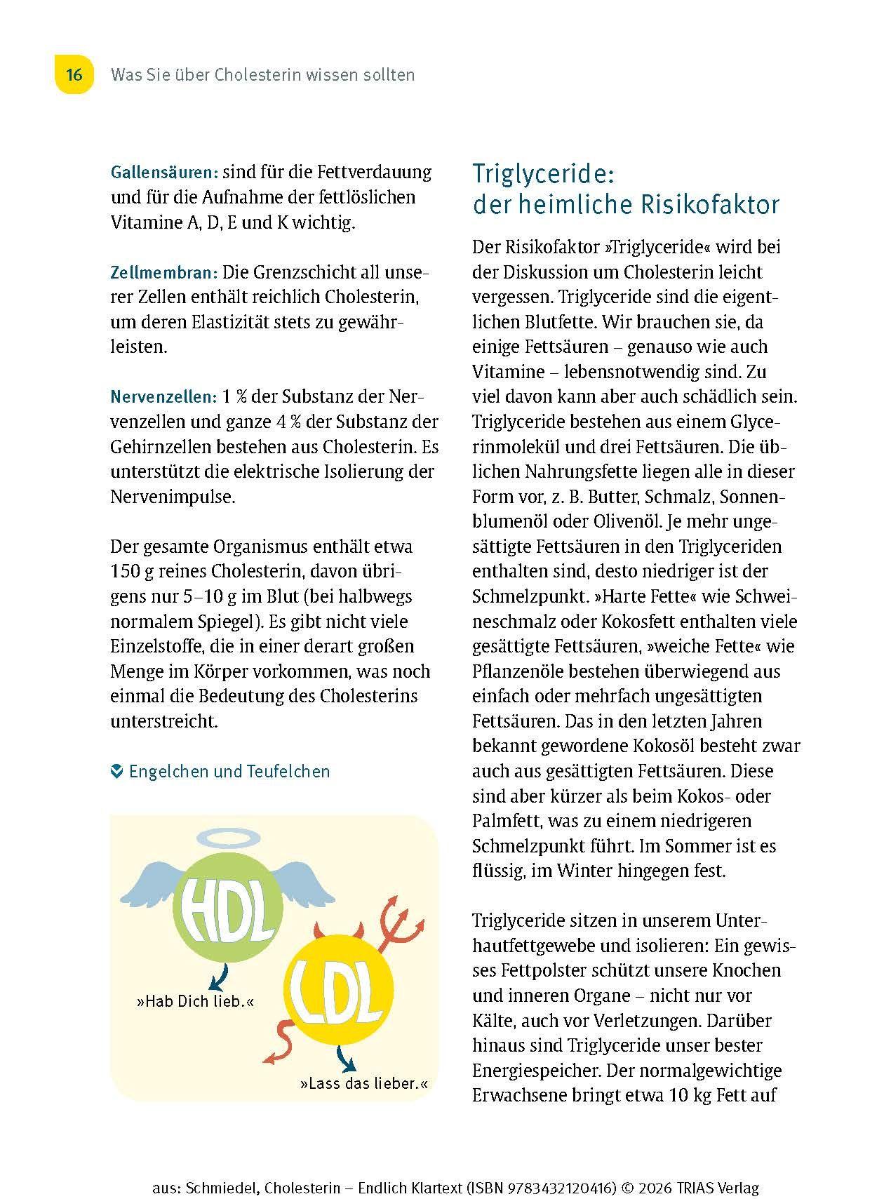 Beispielinhalt (Bild) Cholesterin - Endlich Klartext