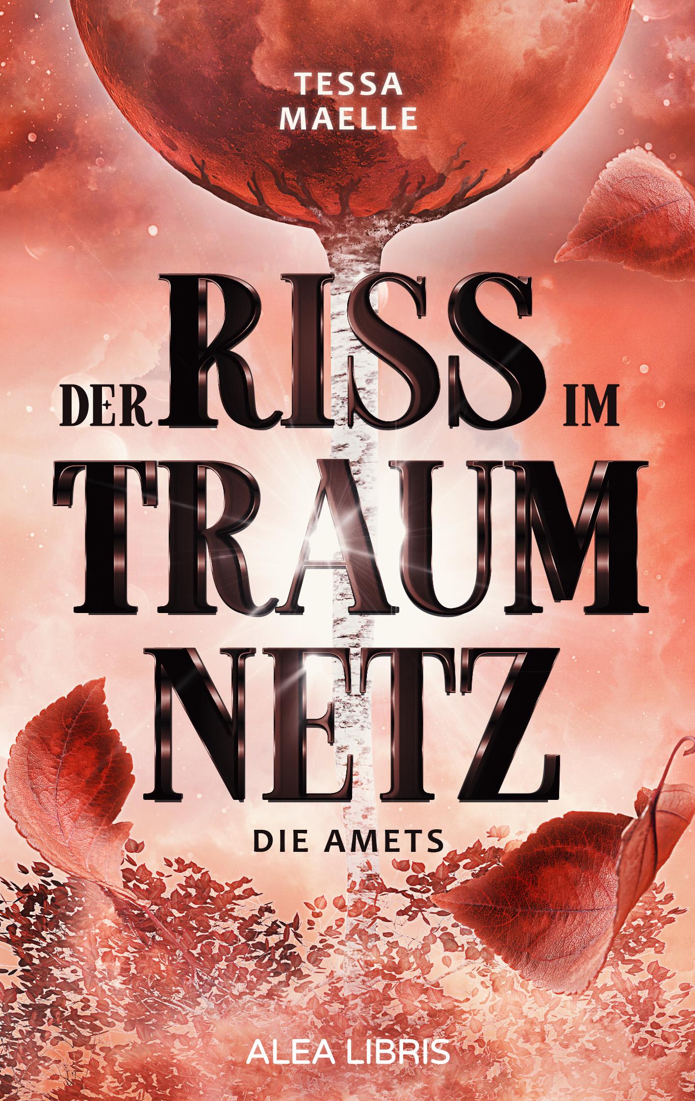 Vorderes Coverbild Der Riss im Traumnetz
