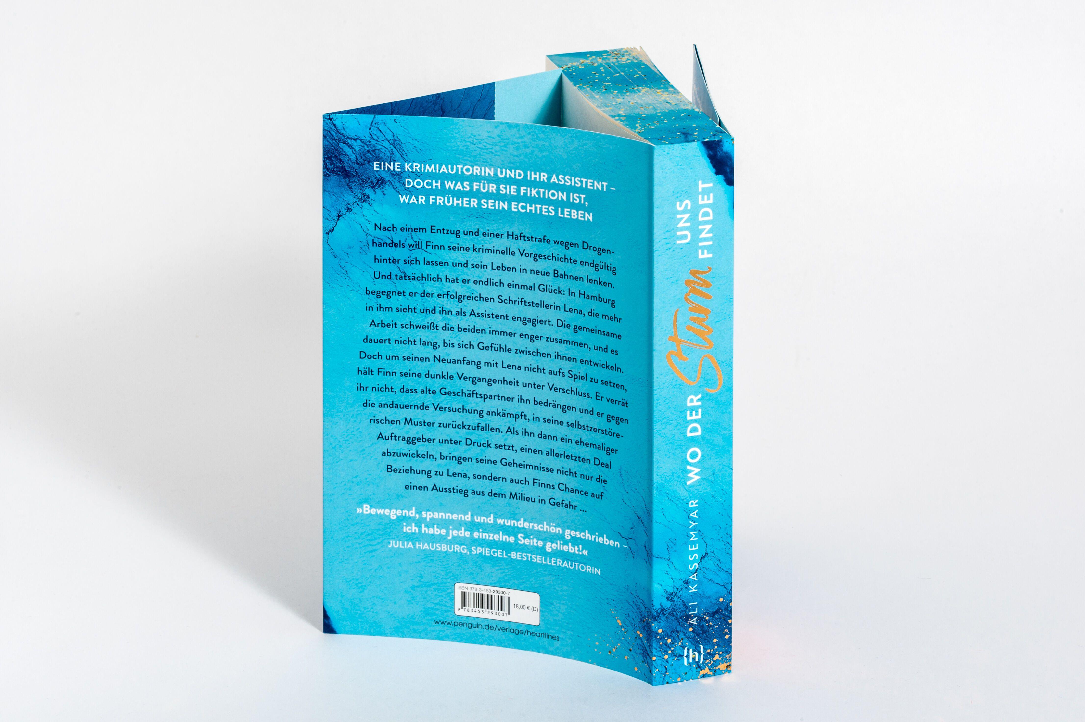 Beispielinhalt (Bild) Wo der Sturm uns findet - Based on René's Story