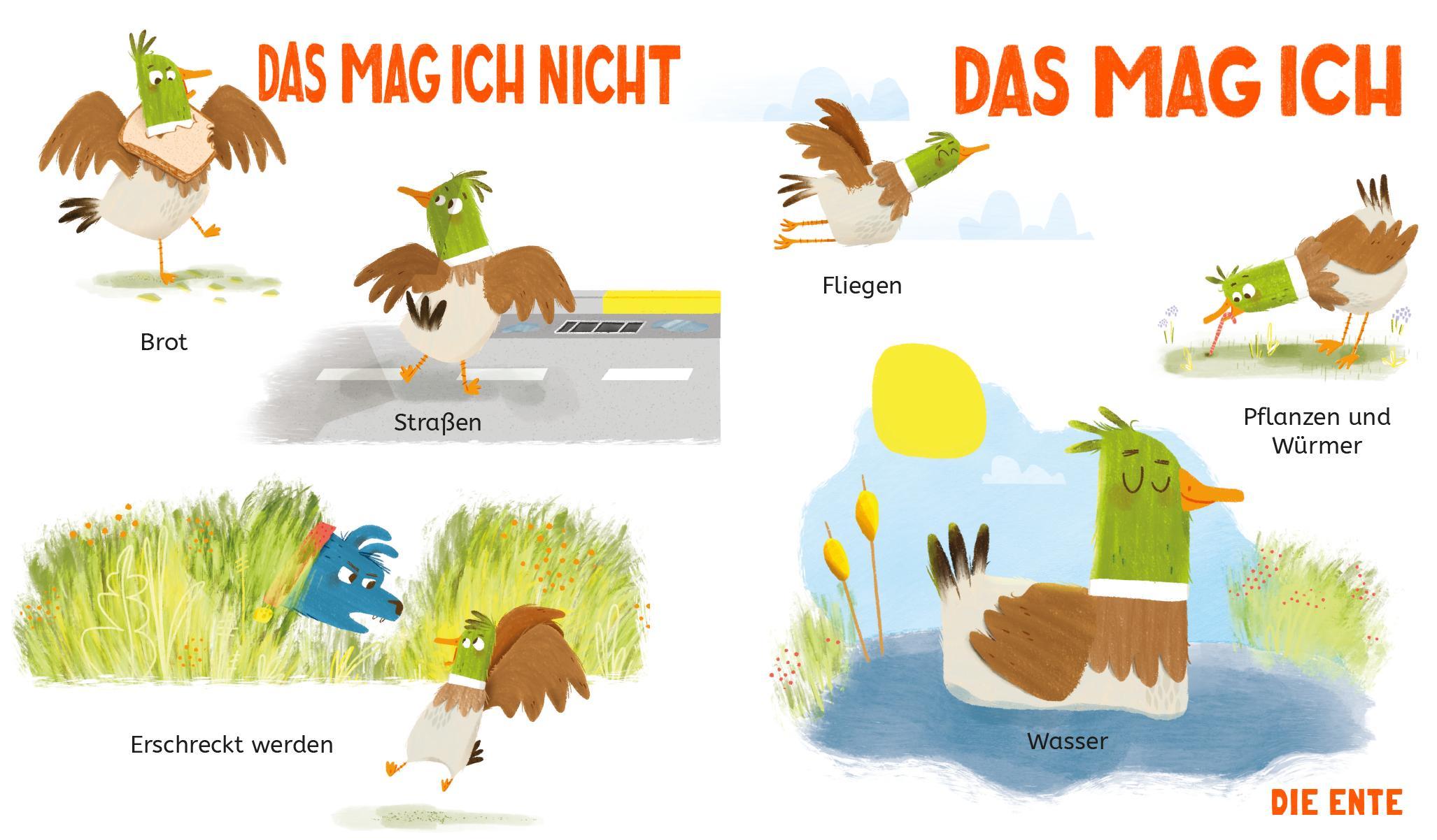 Beispielinhalt (Bild) Das mag ich - Das mag ich nicht