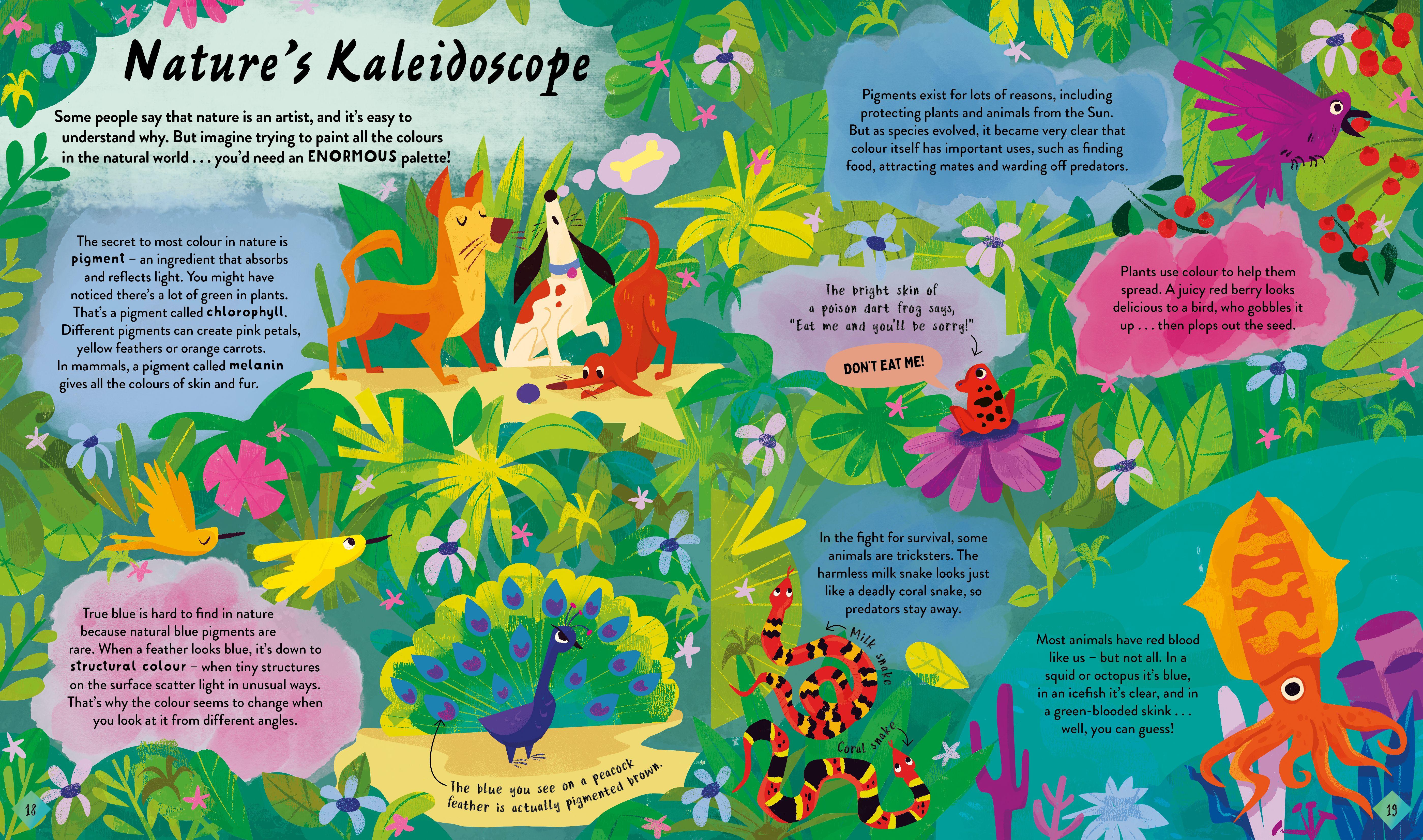 Beispielinhalt (Bild) The Stories and Secrets of Colours