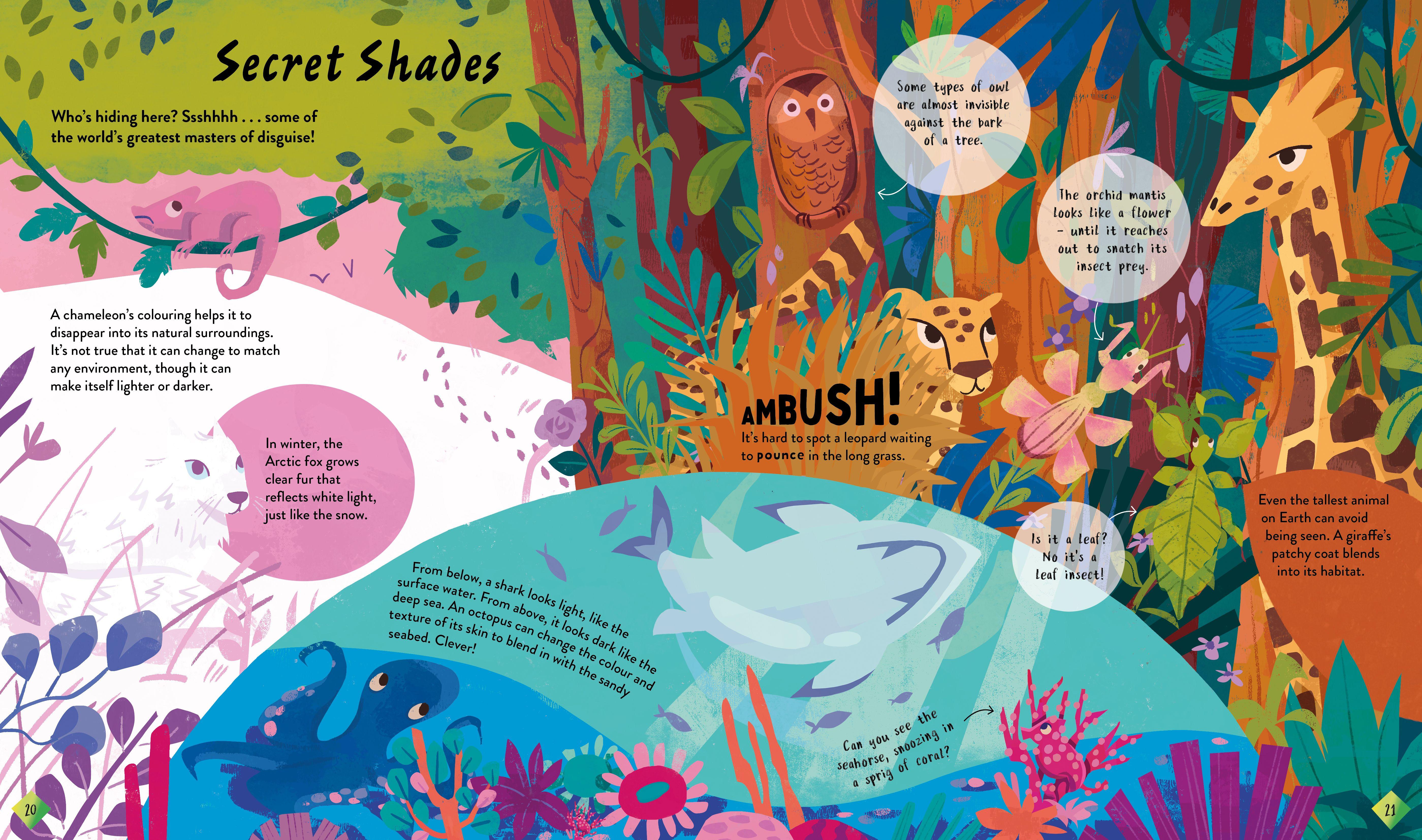 Beispielinhalt (Bild) The Stories and Secrets of Colours