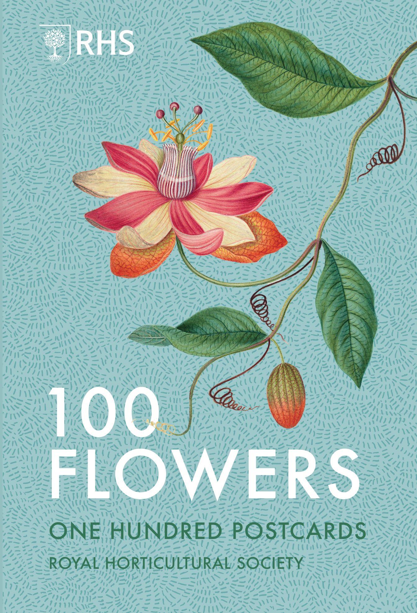 Vorderes Coverbild 100 Flowers