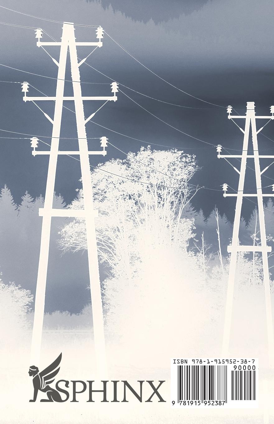 Rückseitencover The Going Down