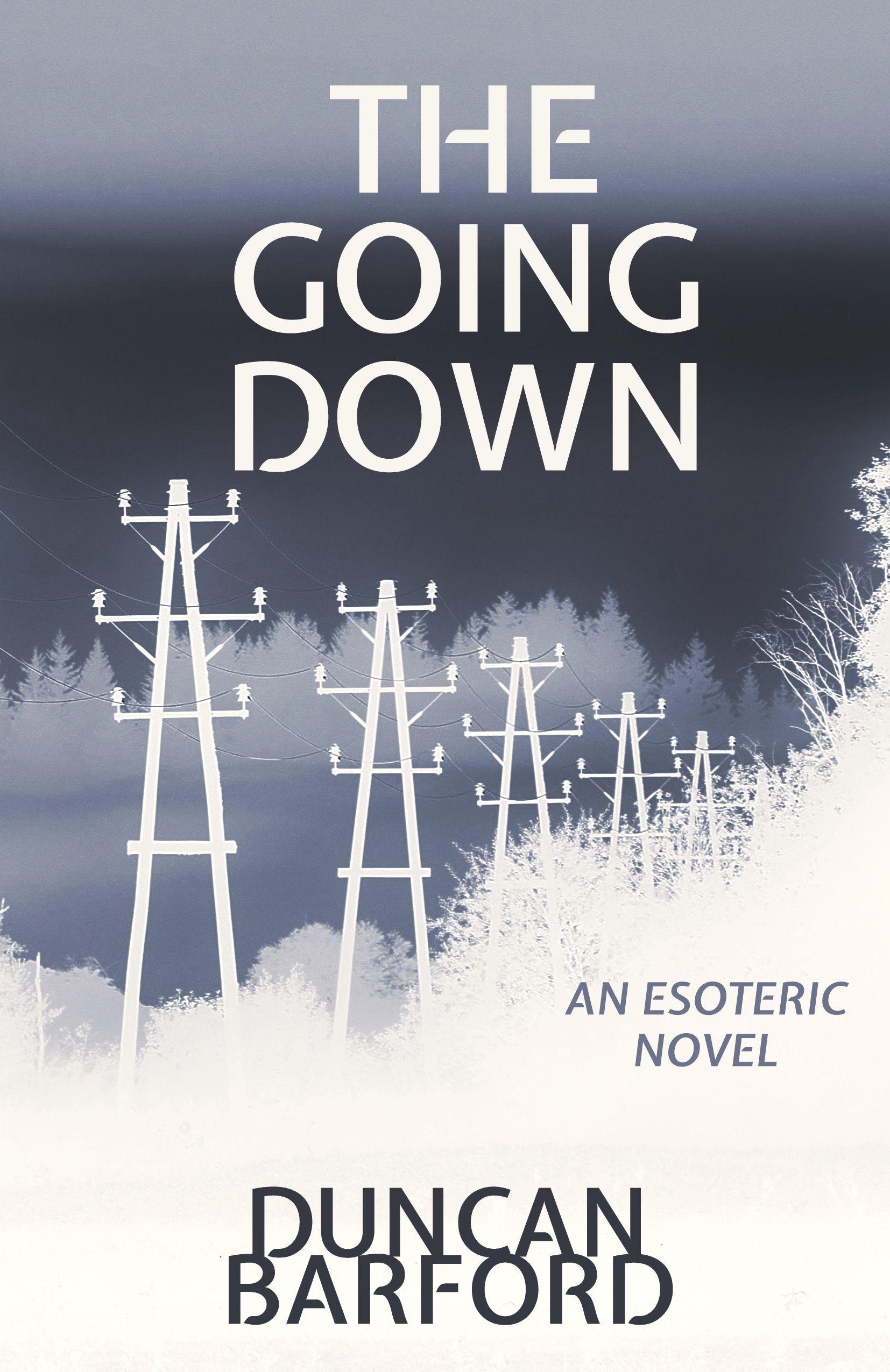 Vorderes Coverbild The Going Down