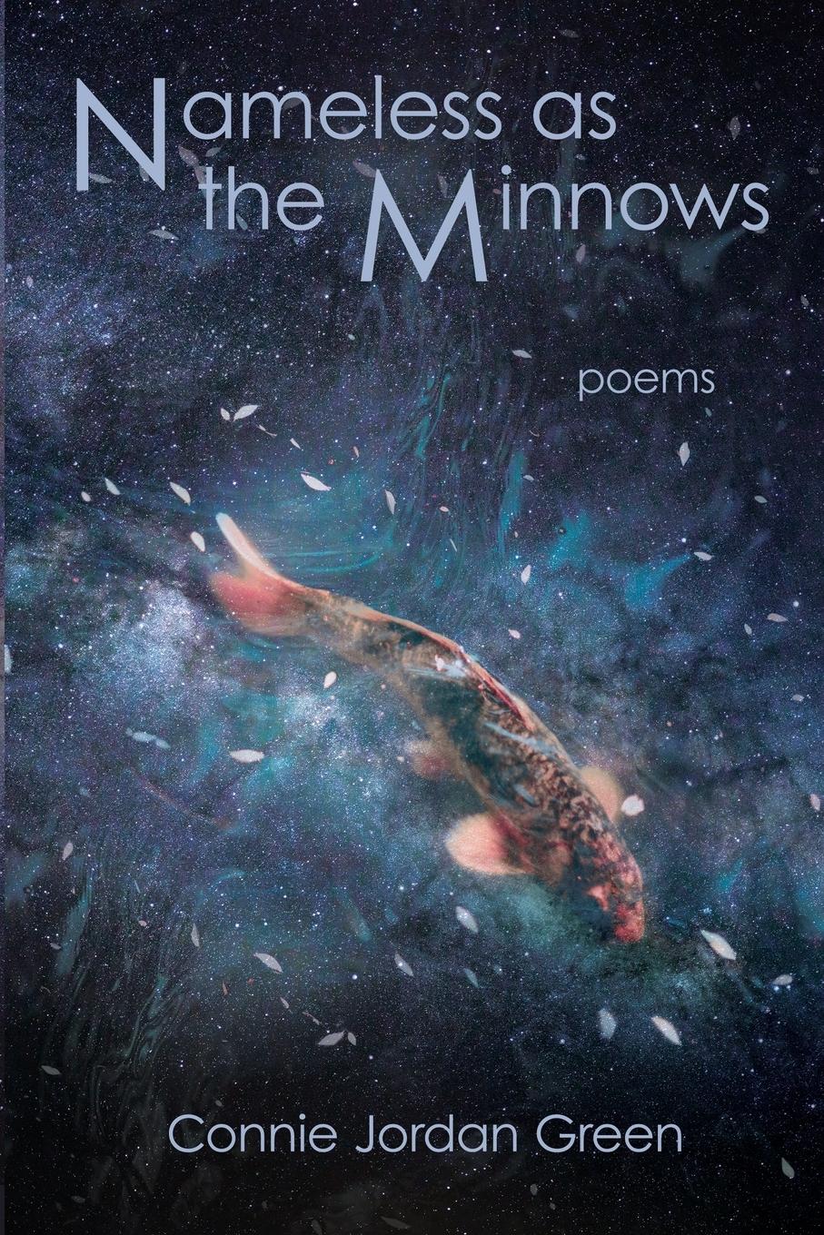 Vorderes Coverbild Nameless as the Minnows