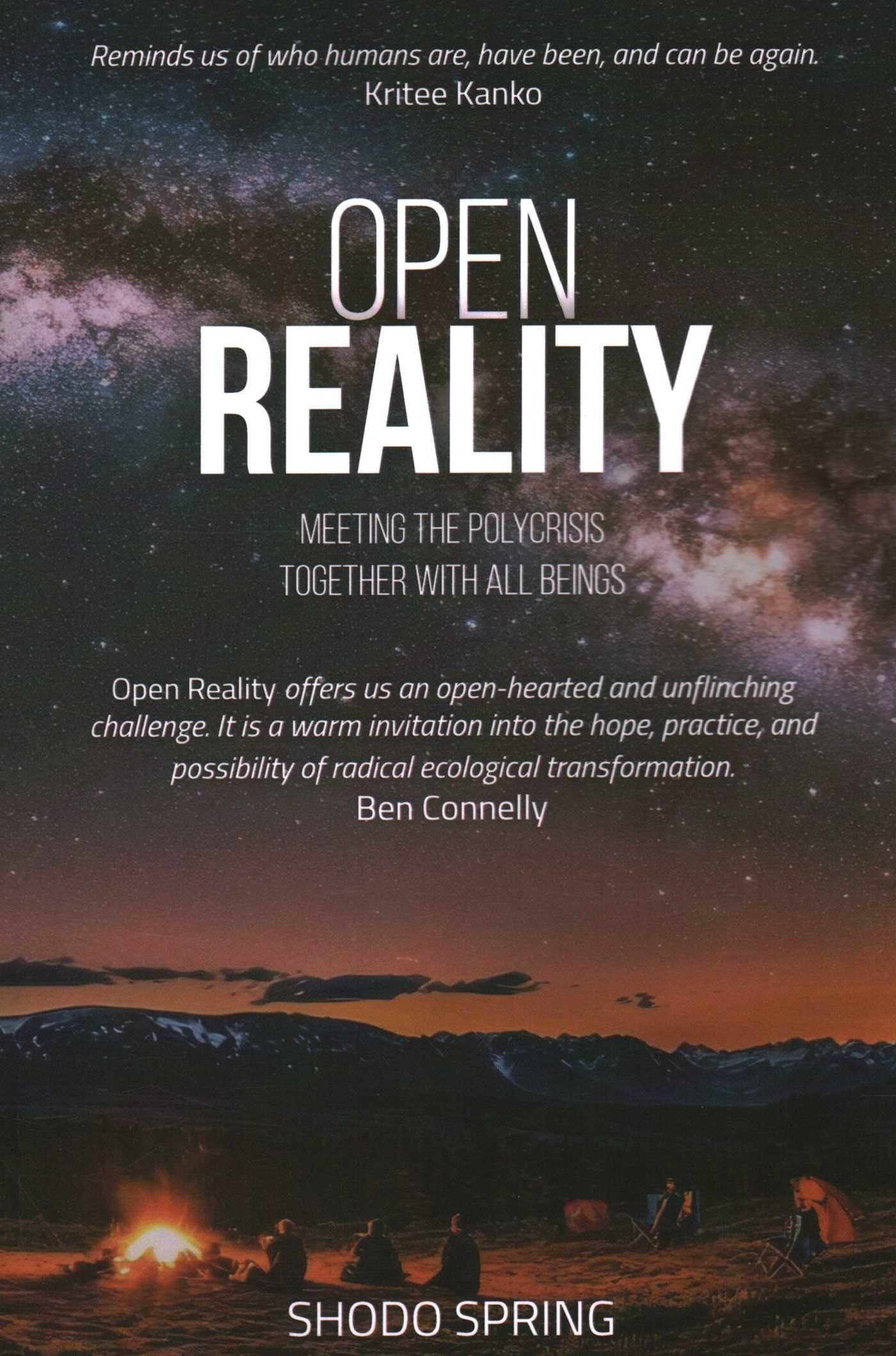 Vorderes Coverbild Open Reality