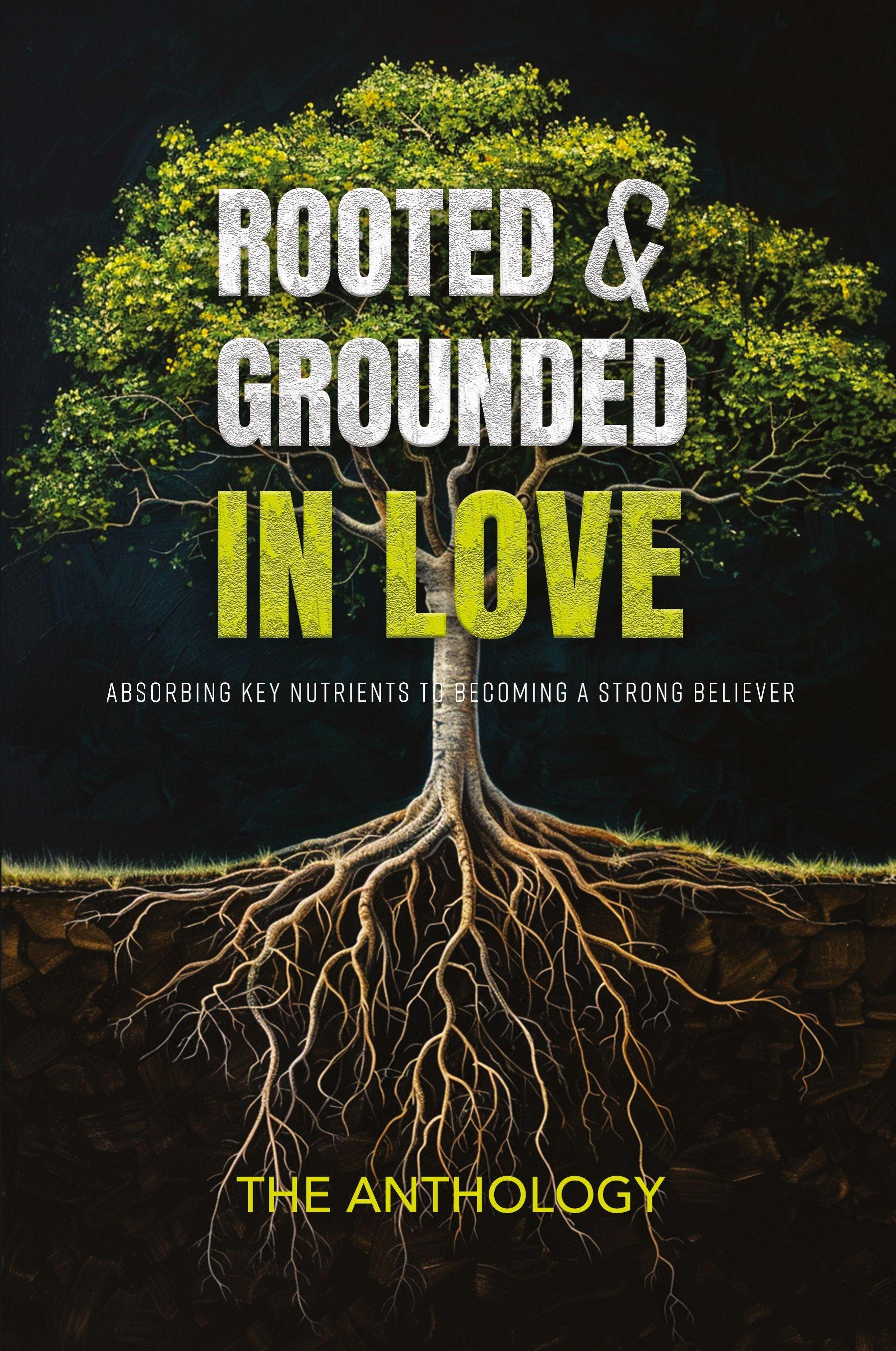 Vorderes Coverbild Rooted and Grounded in Love