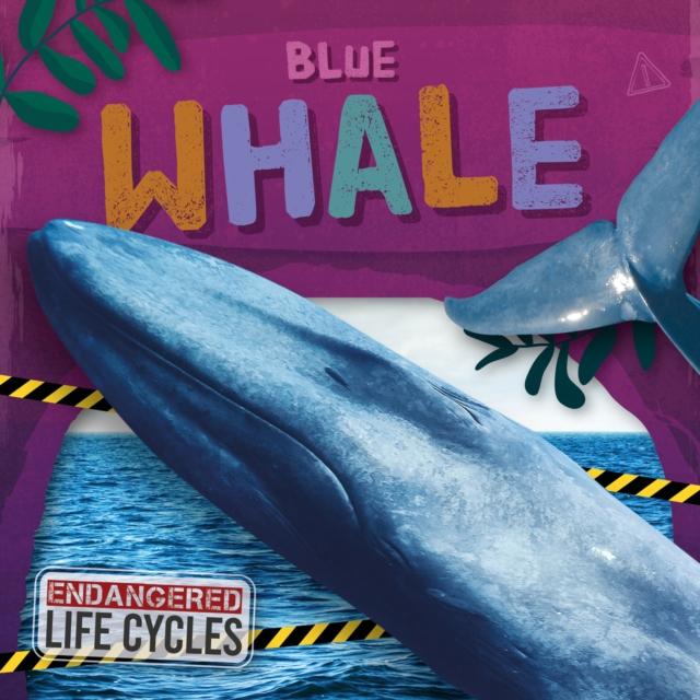 Vorderes Coverbild Blue Whale