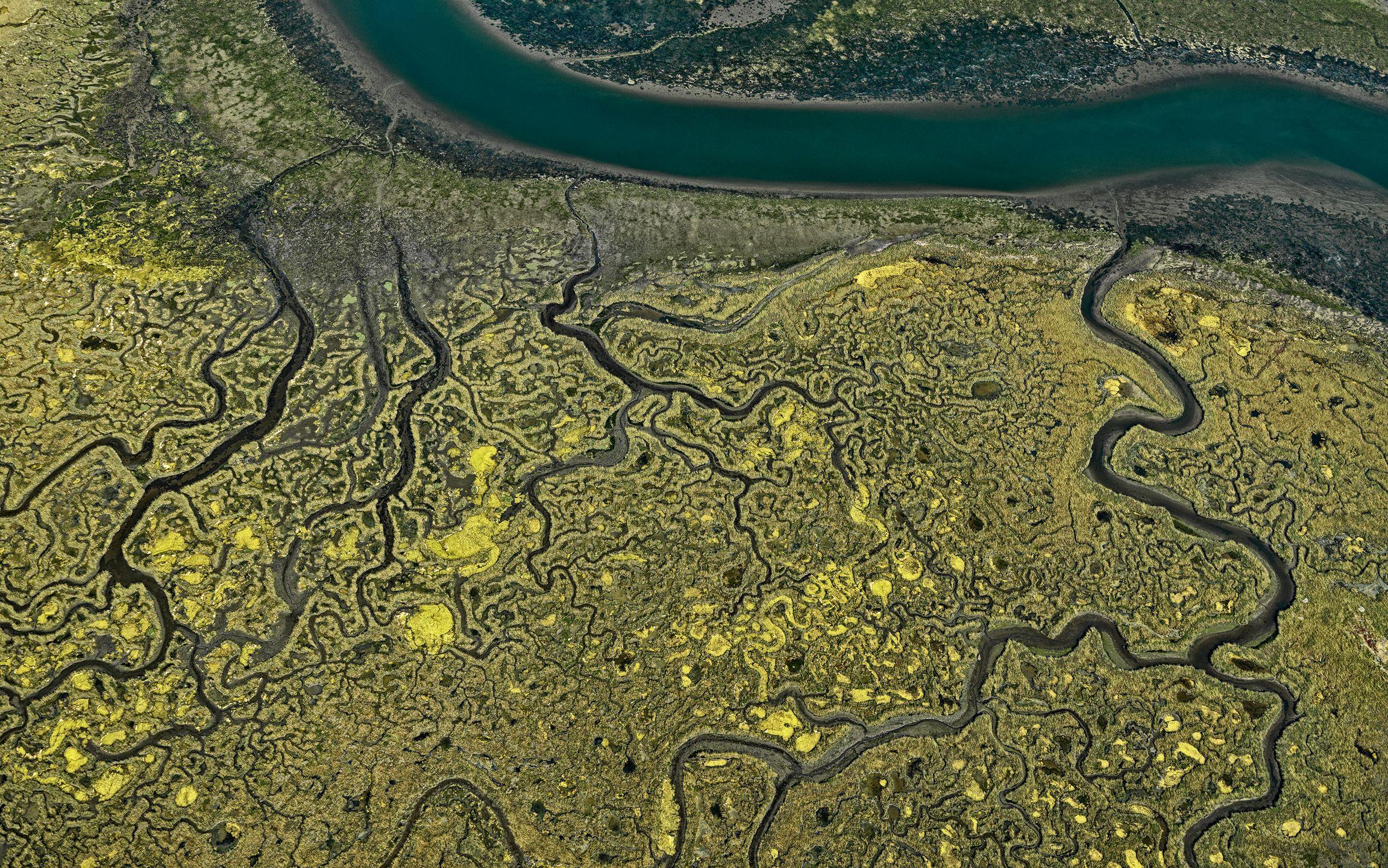 Beispielinhalt (Bild) Bildband: Elements