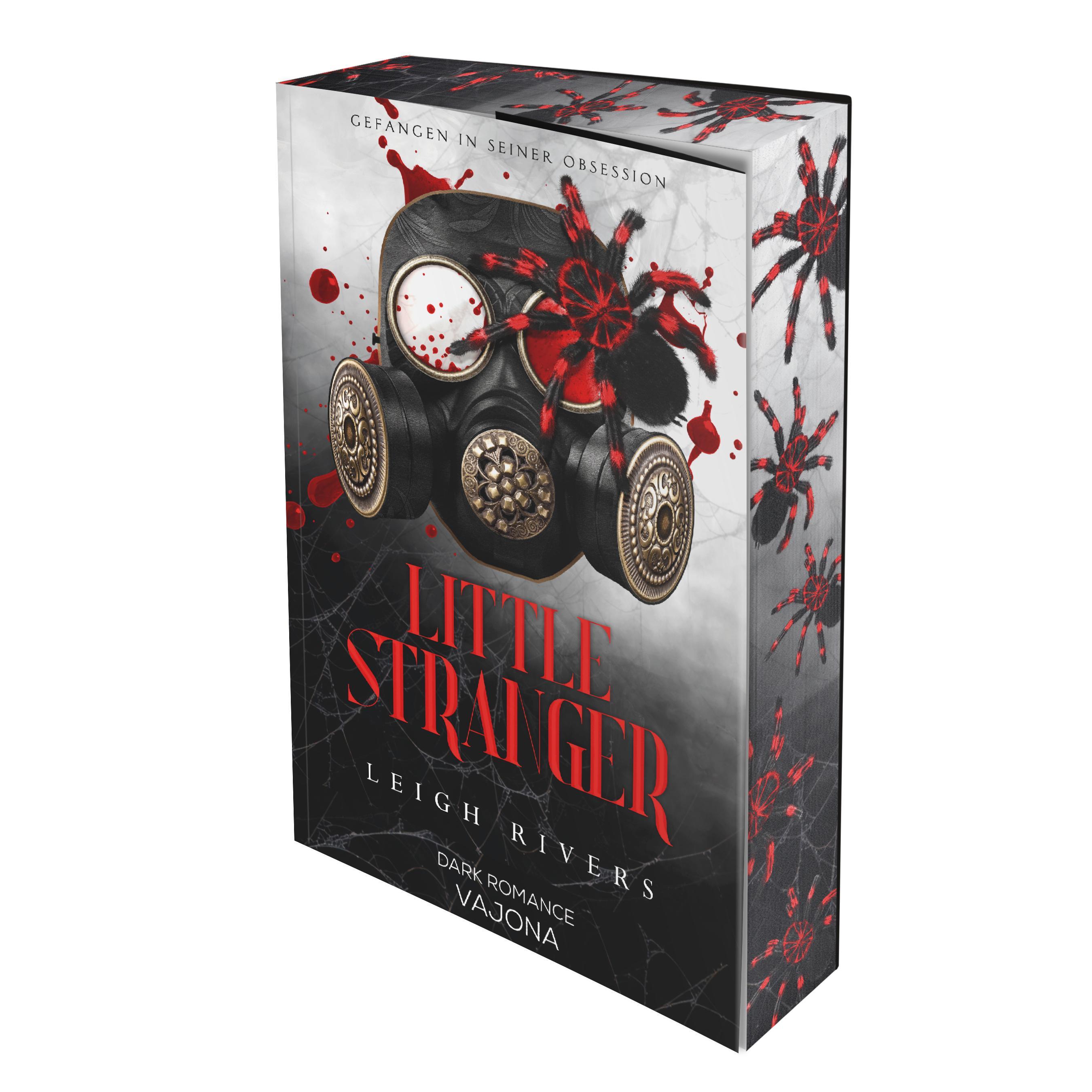 Vorderes Coverbild Little Stranger