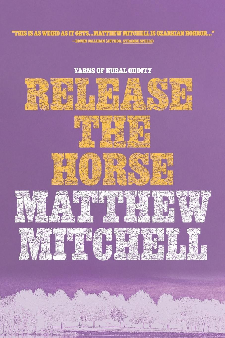 Vorderes Coverbild Release the Horse